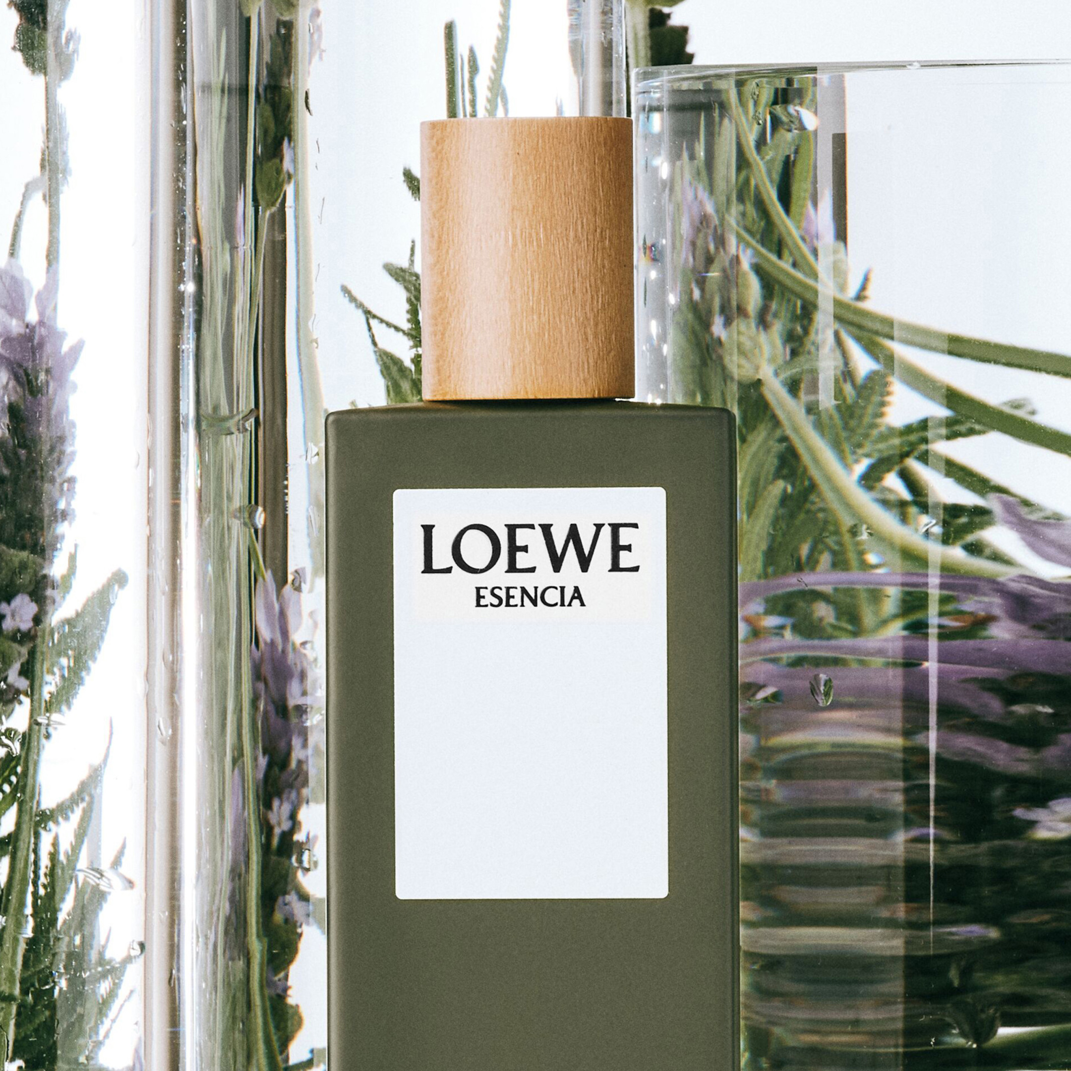 LOEWE ESENCIA EAU DE TOILETTE 3
