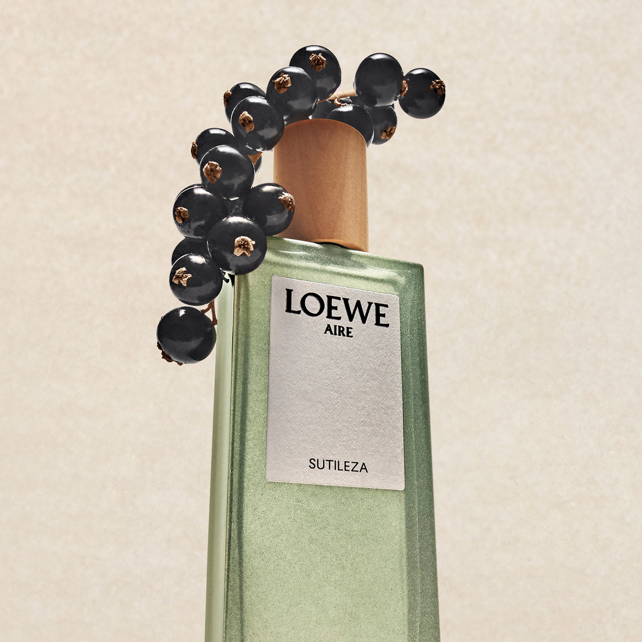 LOEWE AIRE SUTILEZA EAU DE TOILETTE 4