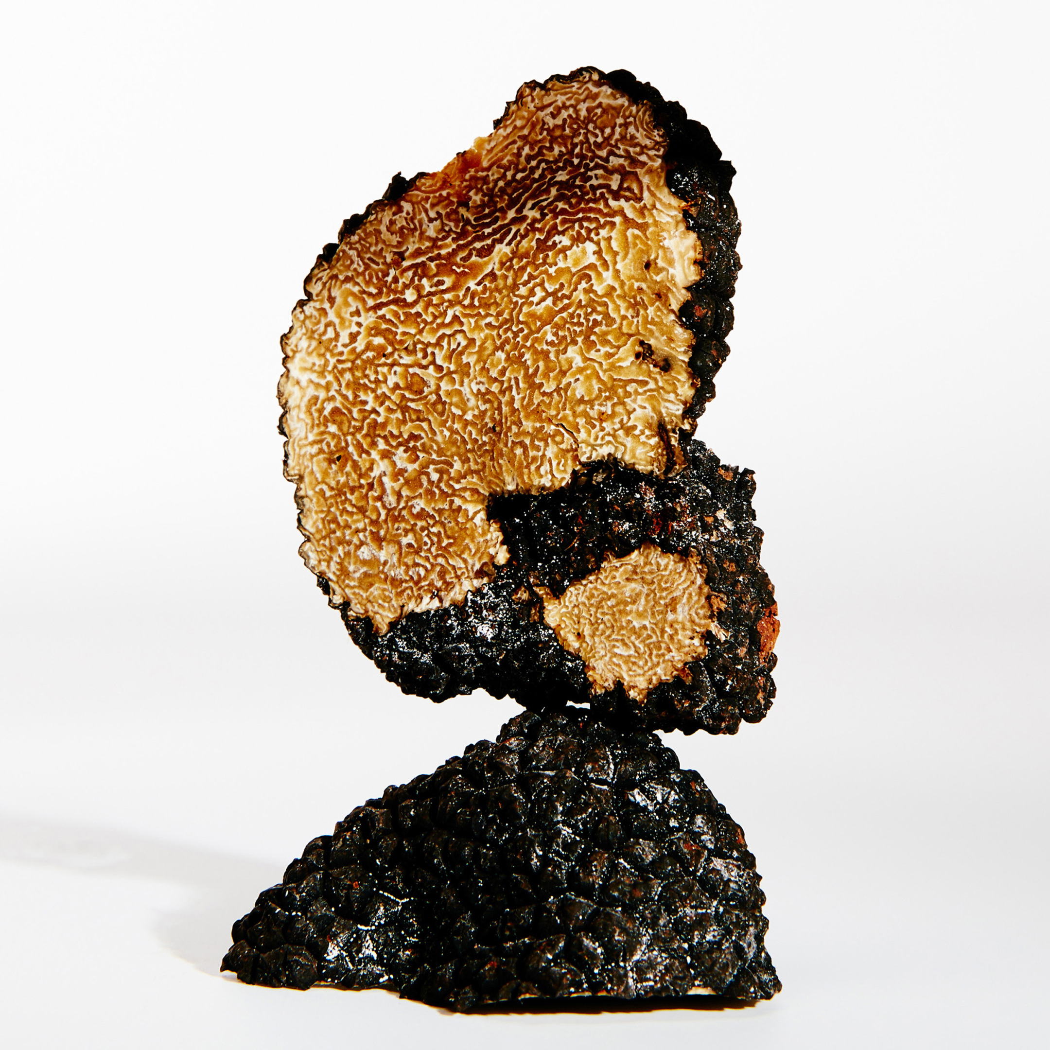 LOEWE EARTH EAU DE PARFUM 2