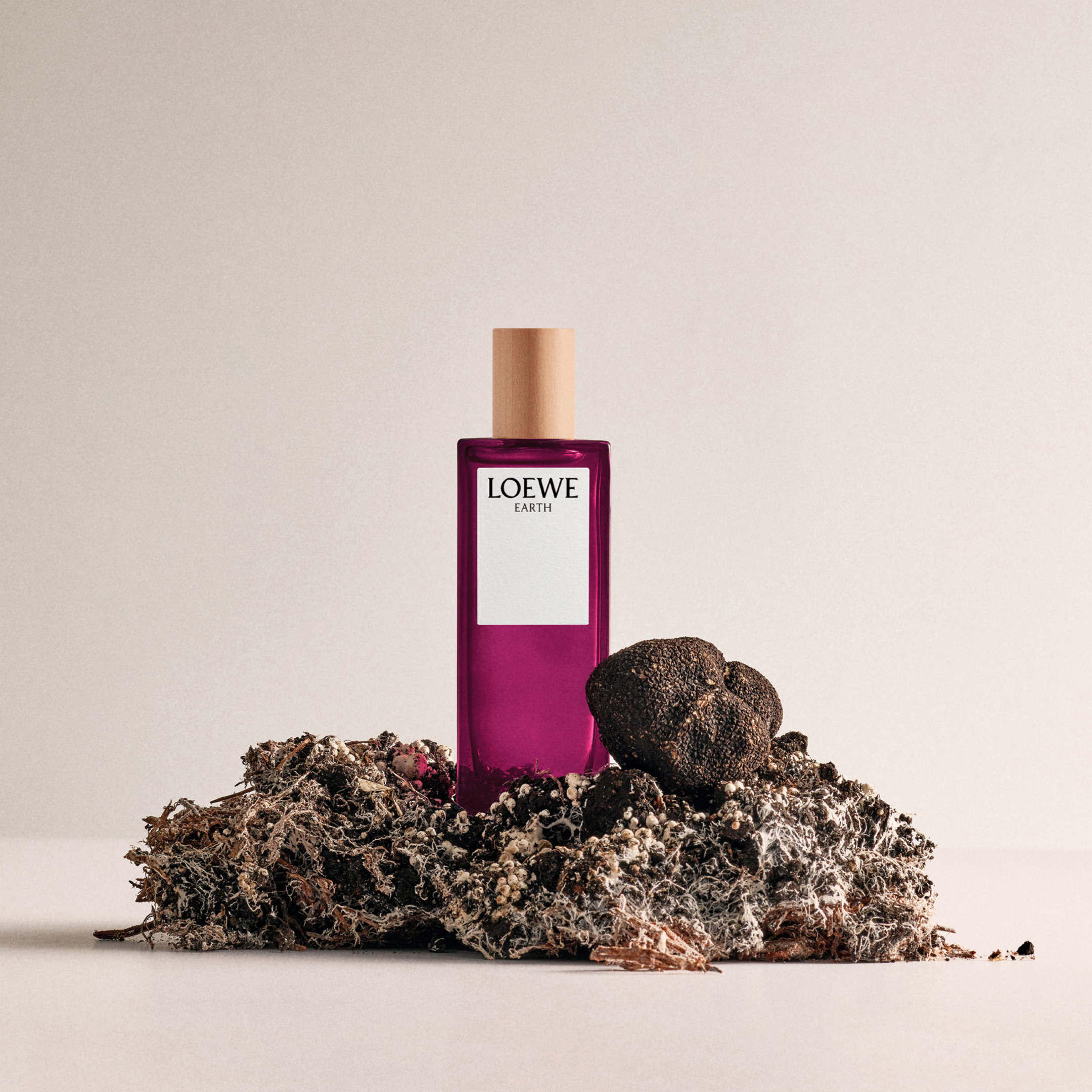 LOEWE EARTH EAU DE PARFUM 4