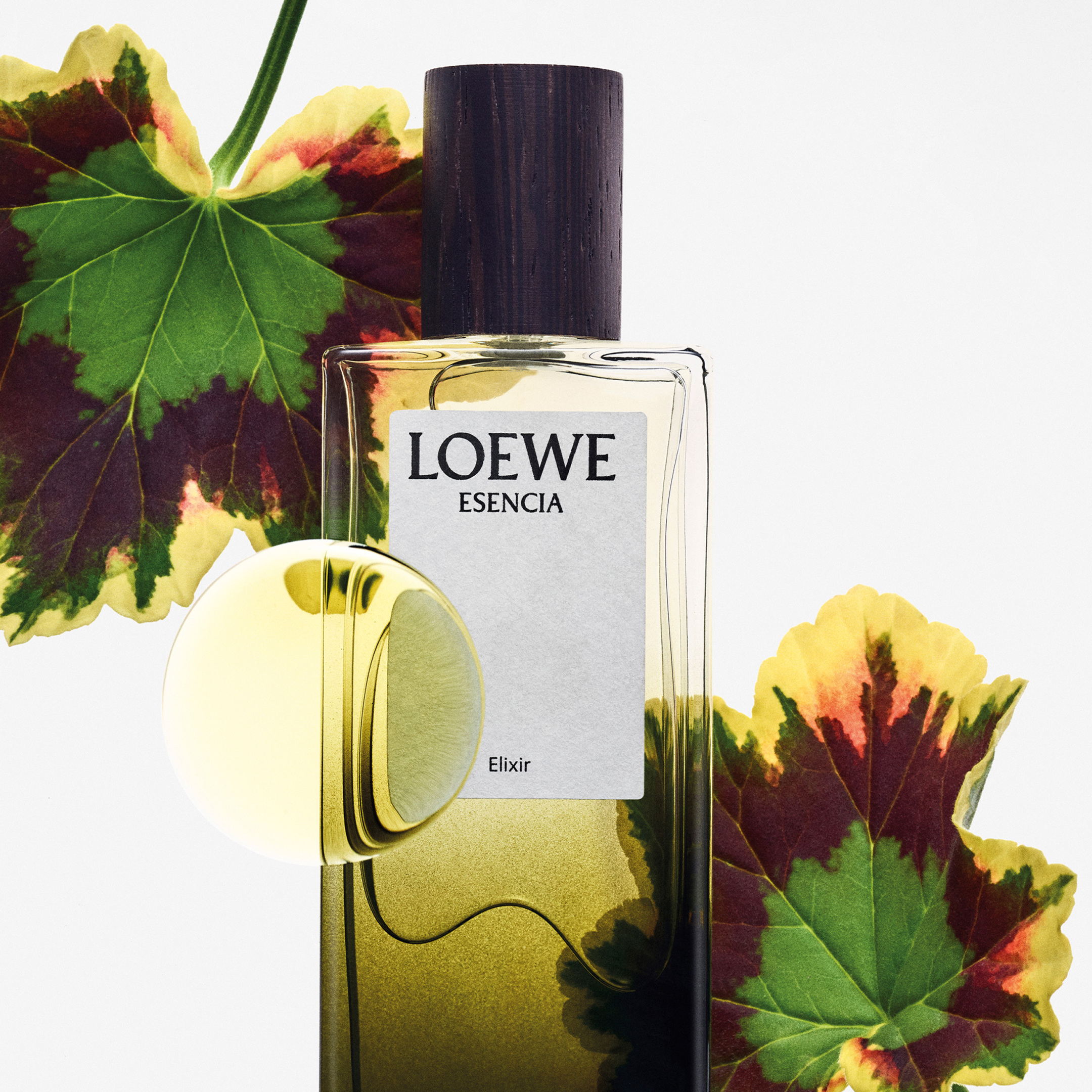 LOEWE ELIXIR ESENCIA EAU DE PARFUM 3
