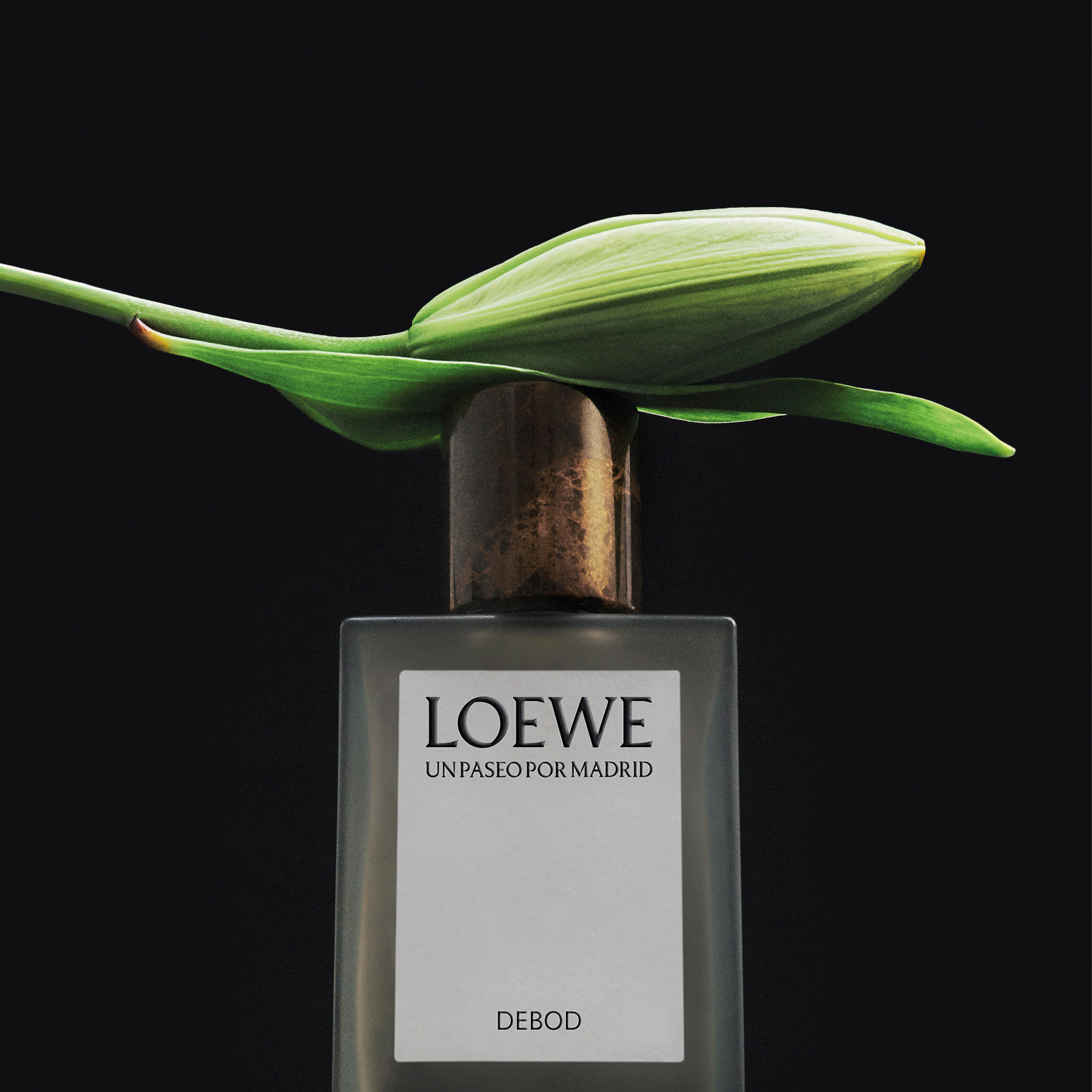 LOEWE UN PASEO POR MADRID DEBOD EAU DE PARFUM 3