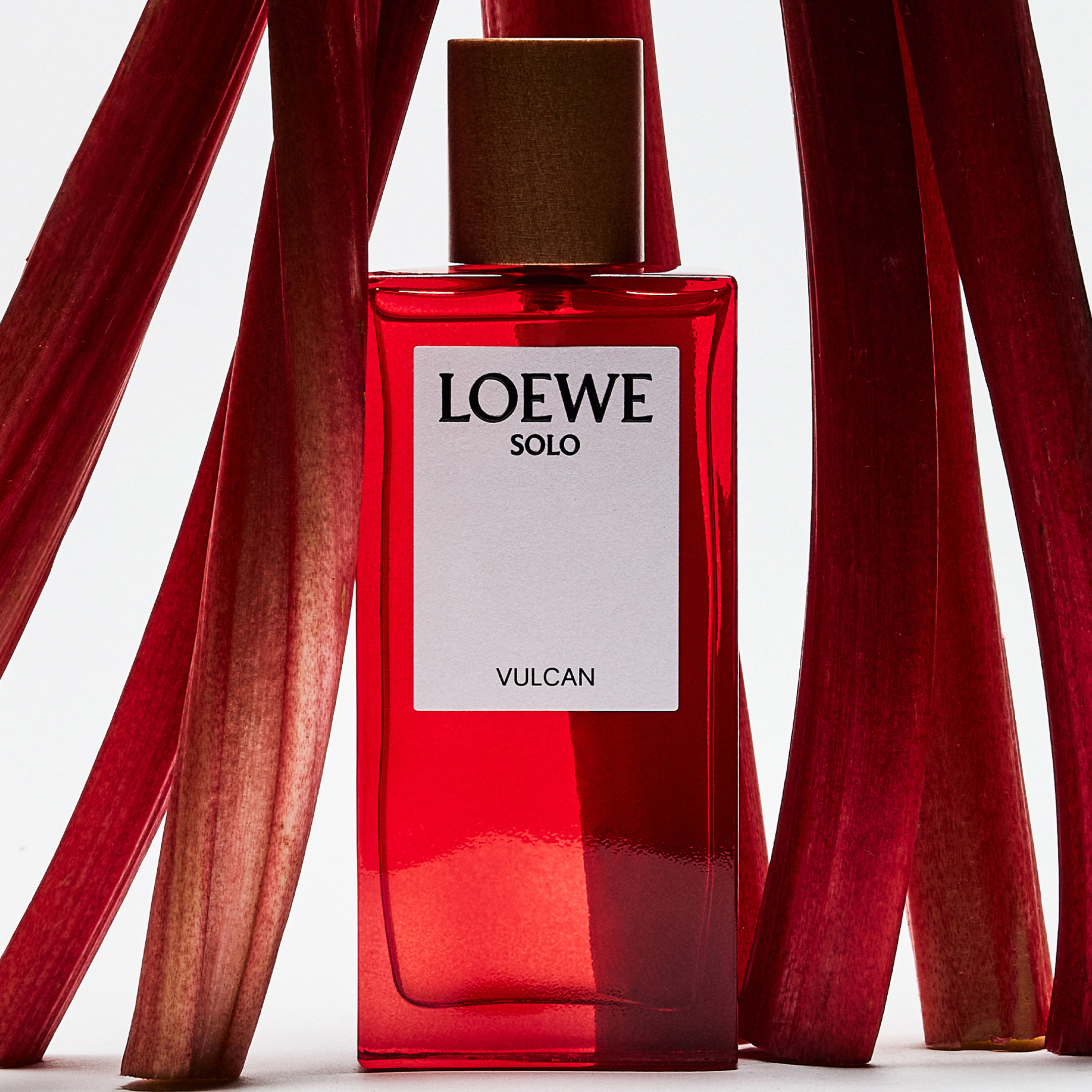 LOEWE SOLO VULCAN EAU DE PARFUM 3