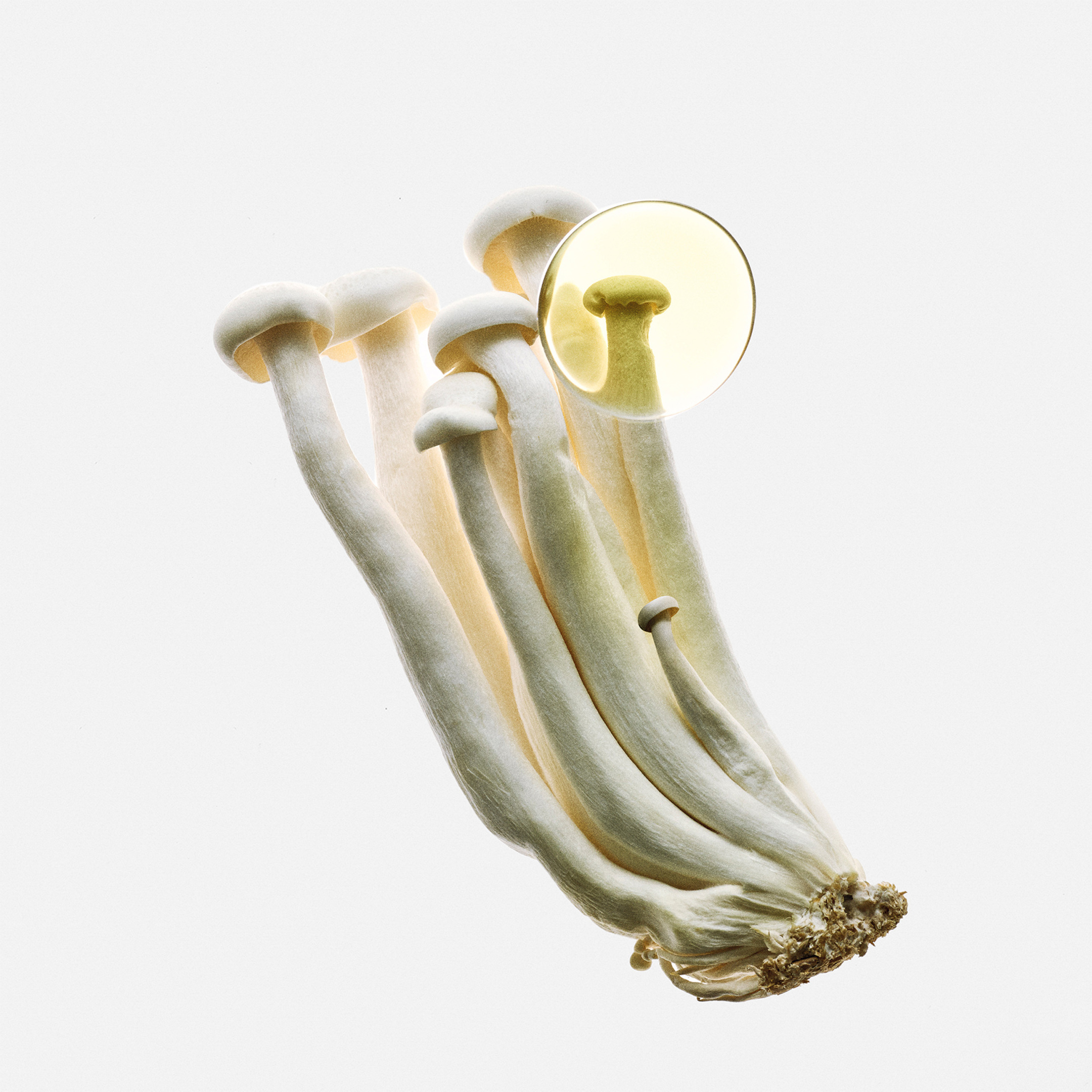 LOEWE EARTH ELIXIR 2