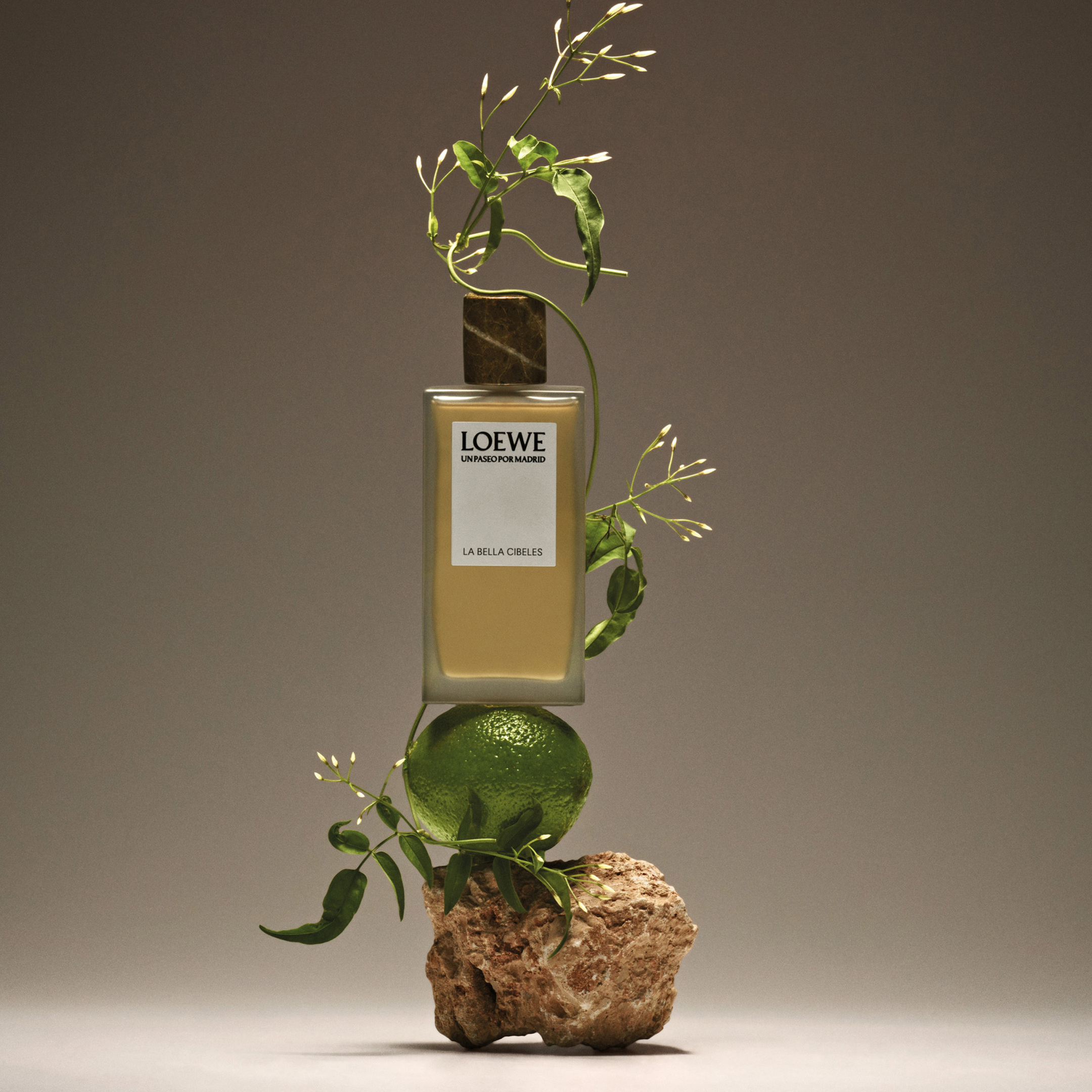 LOEWE UN PASEO POR MADRID LA BELLA CIBELES EAU DE PARFUM 3