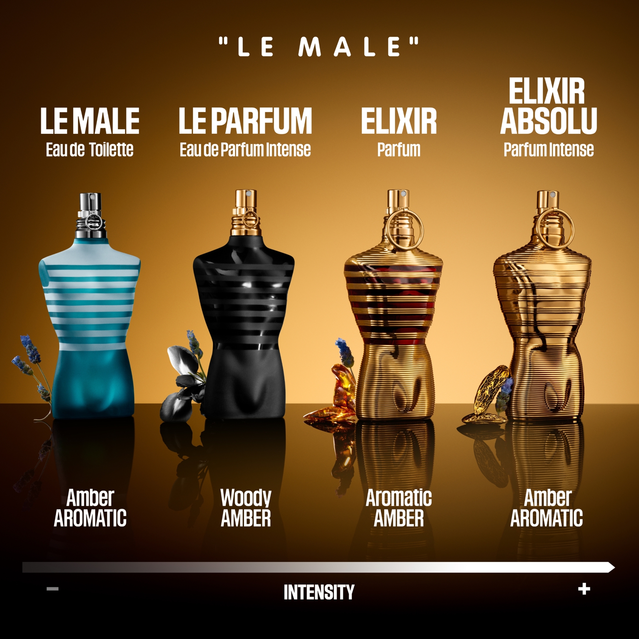 LE MALE ELIXIR ABSOLU PARFUM INTENSE 4