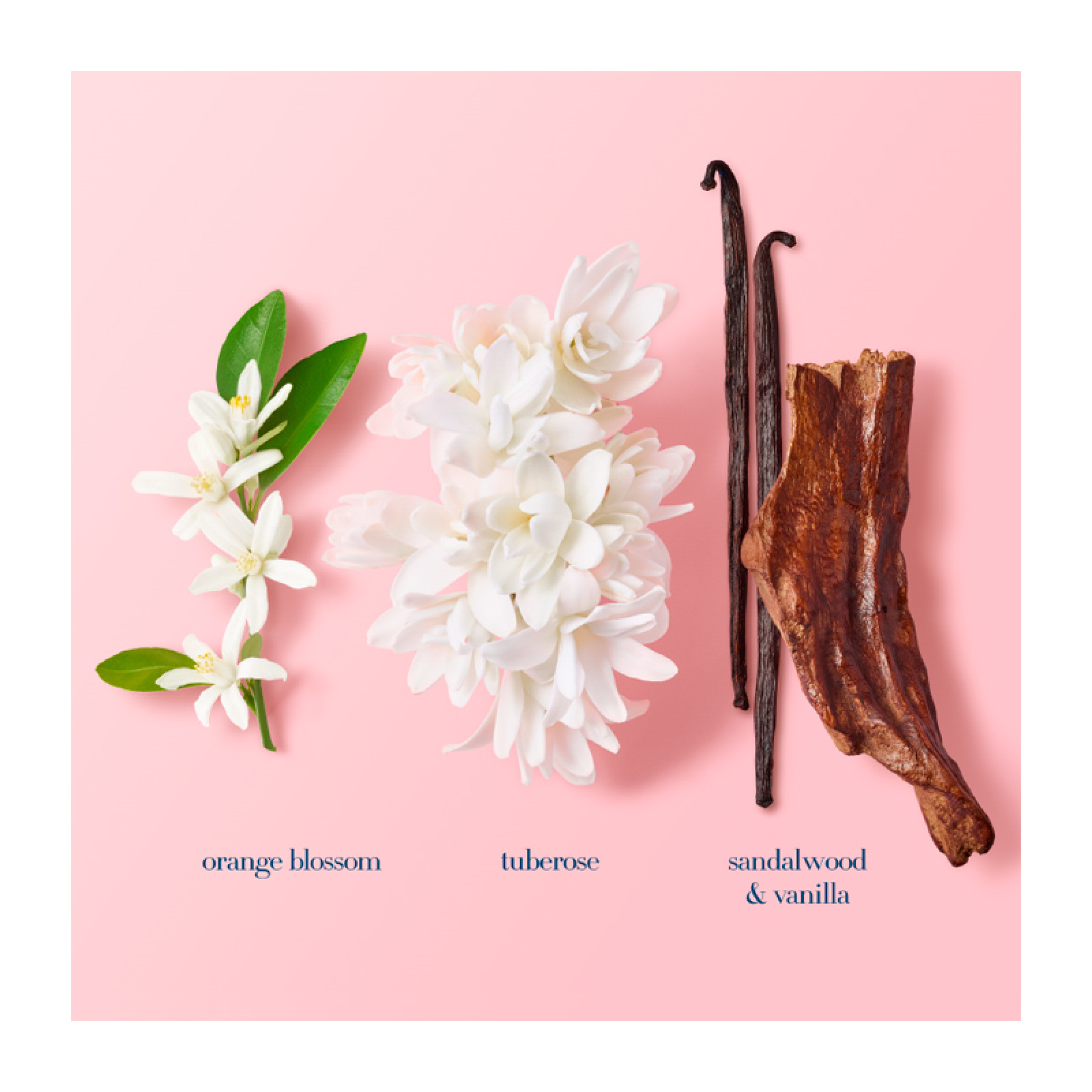 MY WAY EAU DE PARFUM INTENSE 6