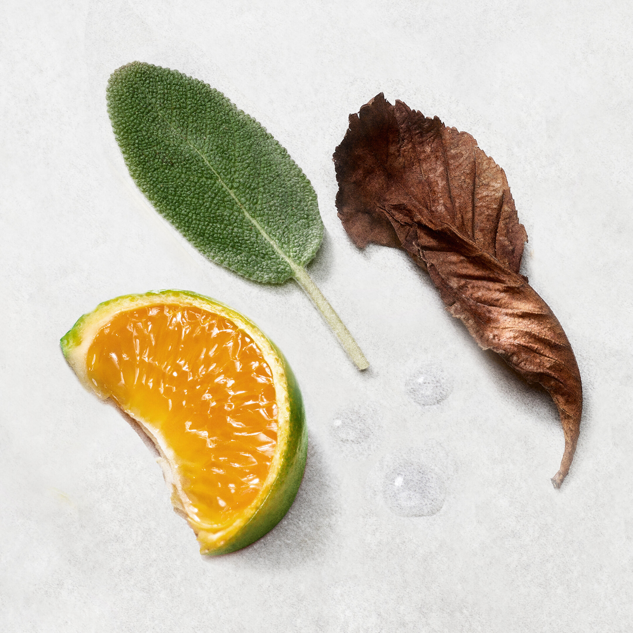 ARMANI ACQUA DI GIO EAU DE PARFUM ΑΝΔΡΙΚΟ ΑΡΩΜΑ 5