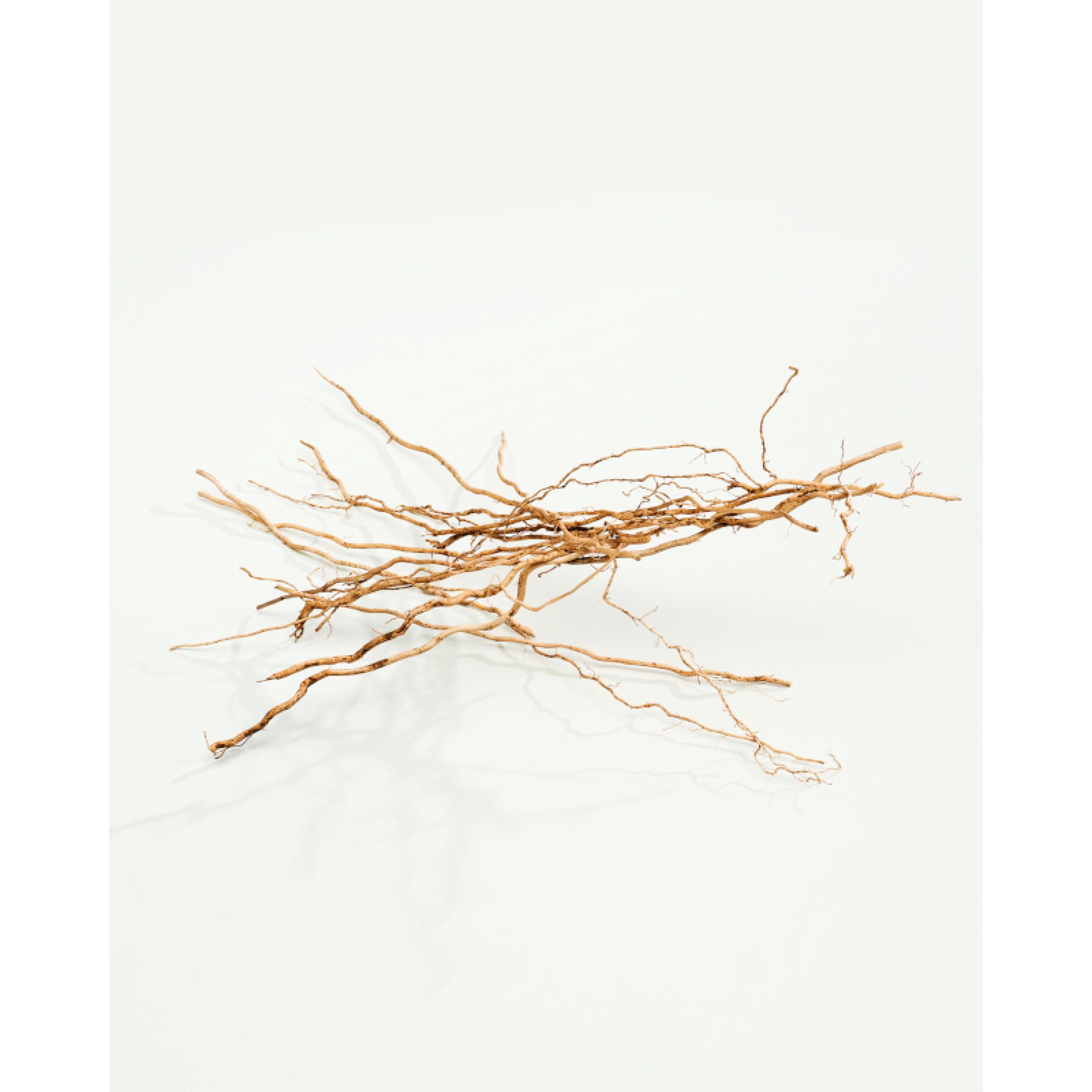 CK EVERYONE EAU DE PARFUM 6