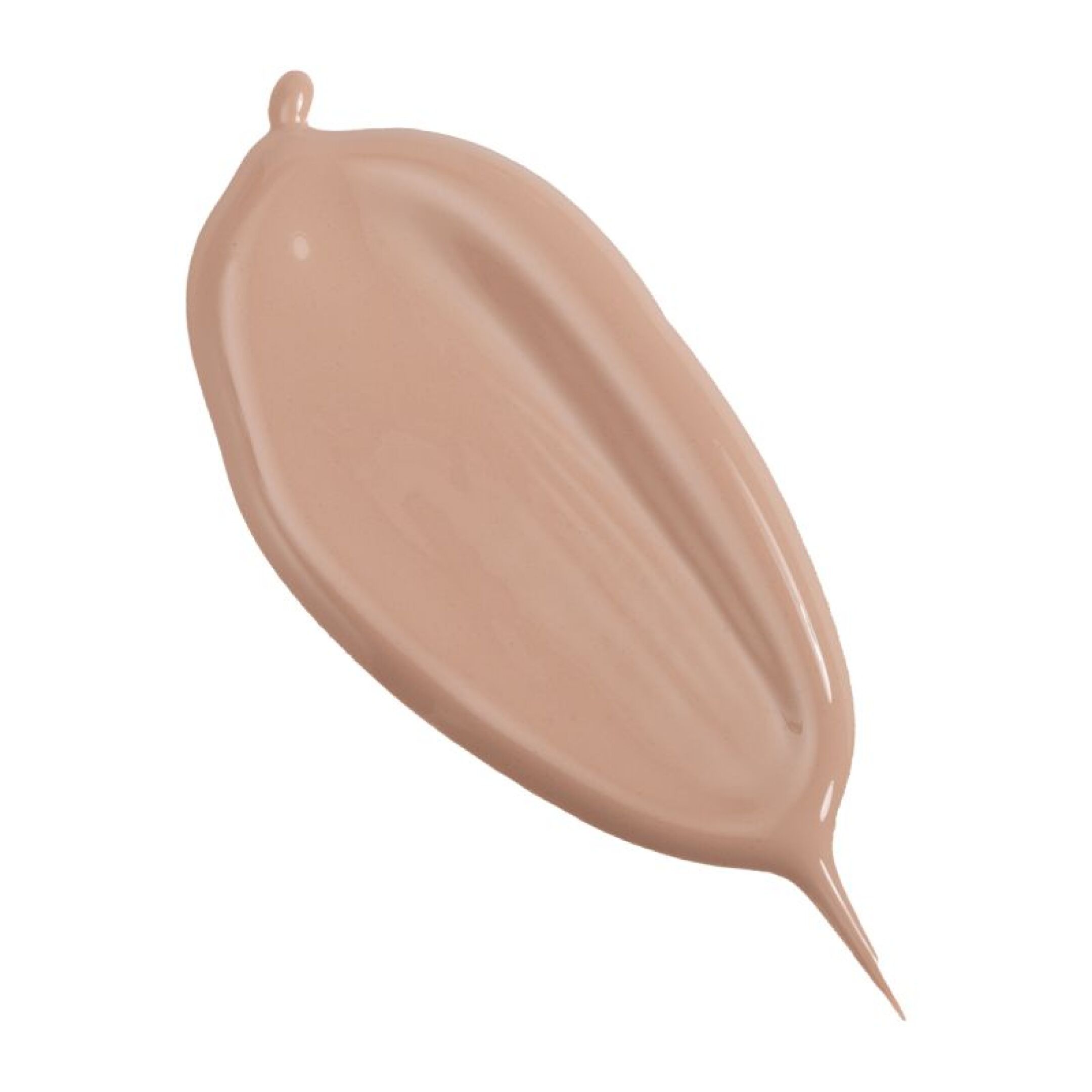 THE NATURAL TRANSPARENT FOUNDATION  1