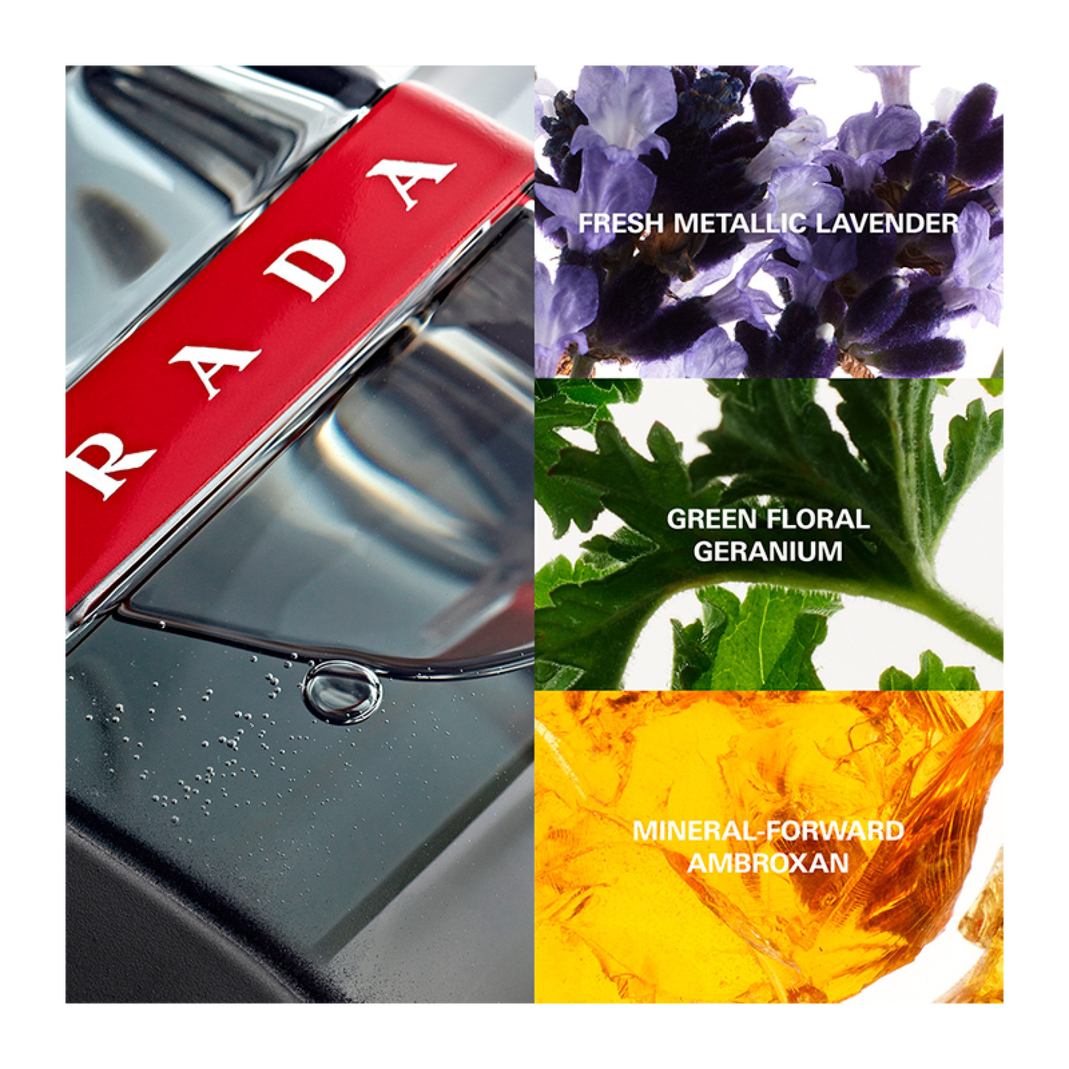 LUNA ROSSA CARBON EAU DE TOILETTE 1