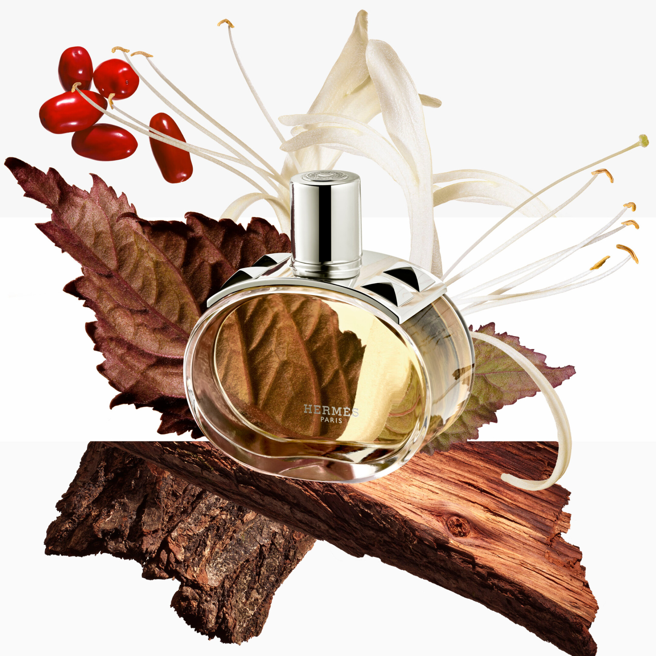 BARÉNIA EAU DE PARFUM 5