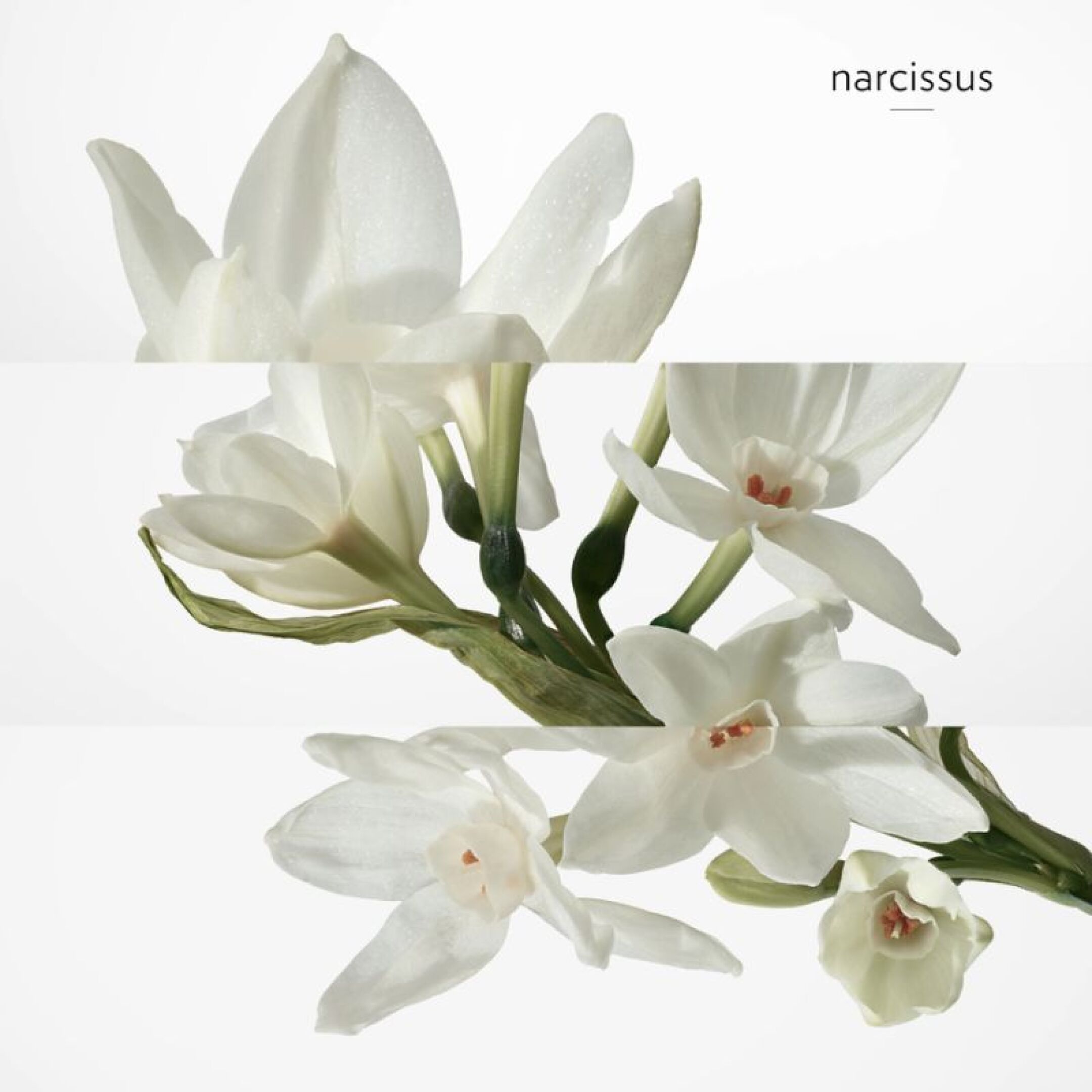 H24 EAU DE TOILETTE 6