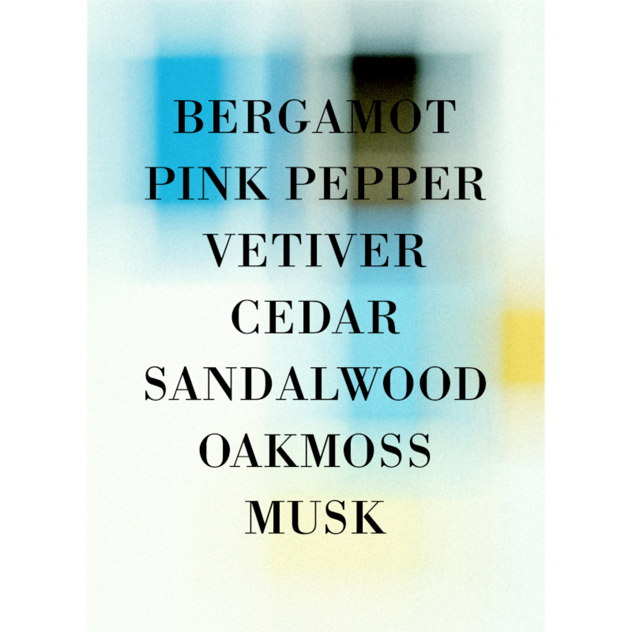 VETIVER EXTRAORDINAIRE PERFUME 2