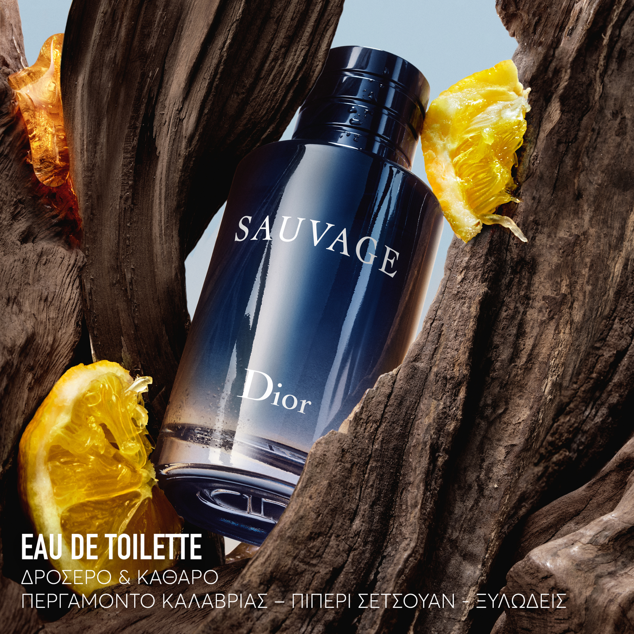 SAUVAGE EAU DE TOILETTE  5