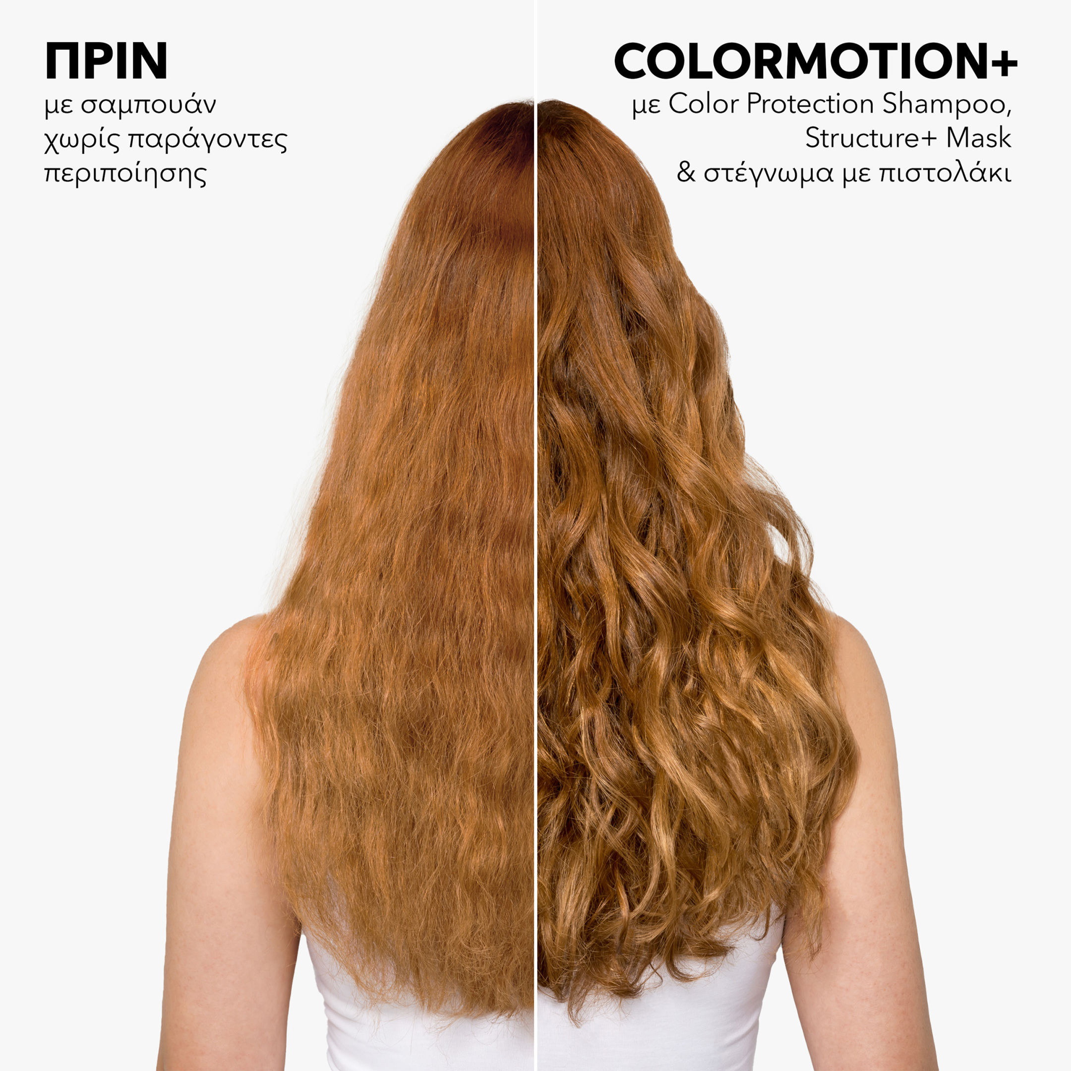 WELLA COLOR MOTION SHAMPOO 3