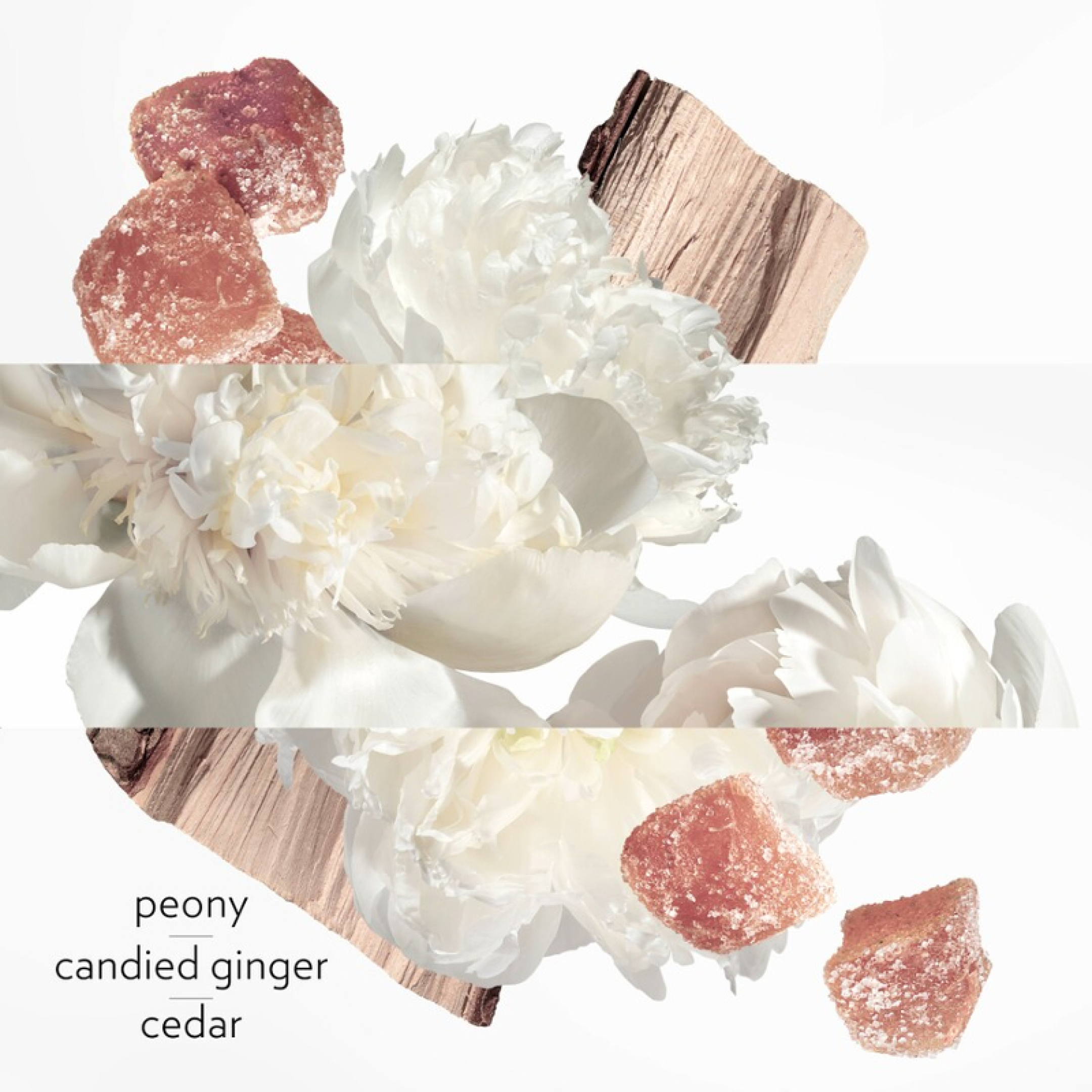 TWILLY D'HERMÈS EAU GINGER EAU DE PARFUM 10