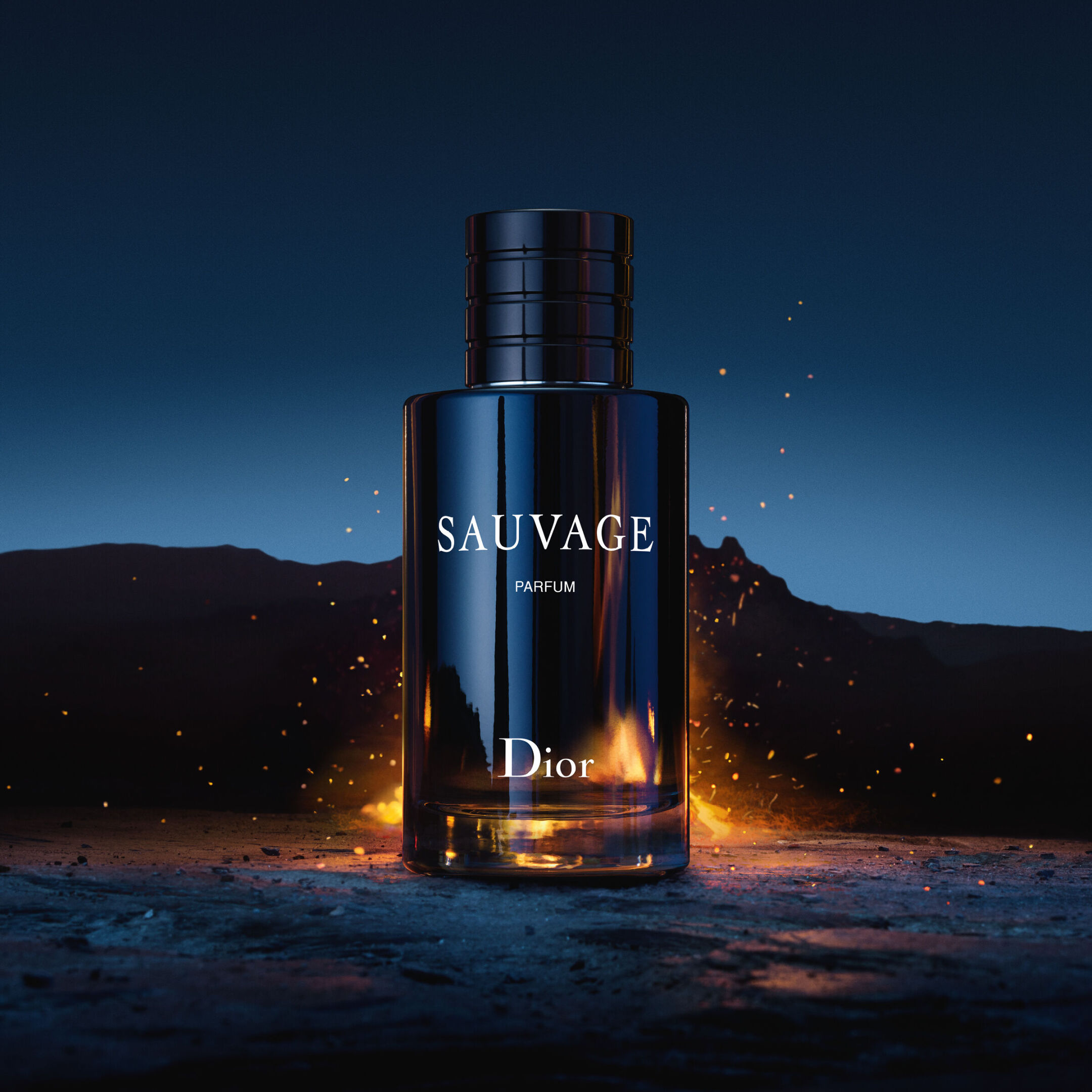 SAUVAGE PARFUM 4