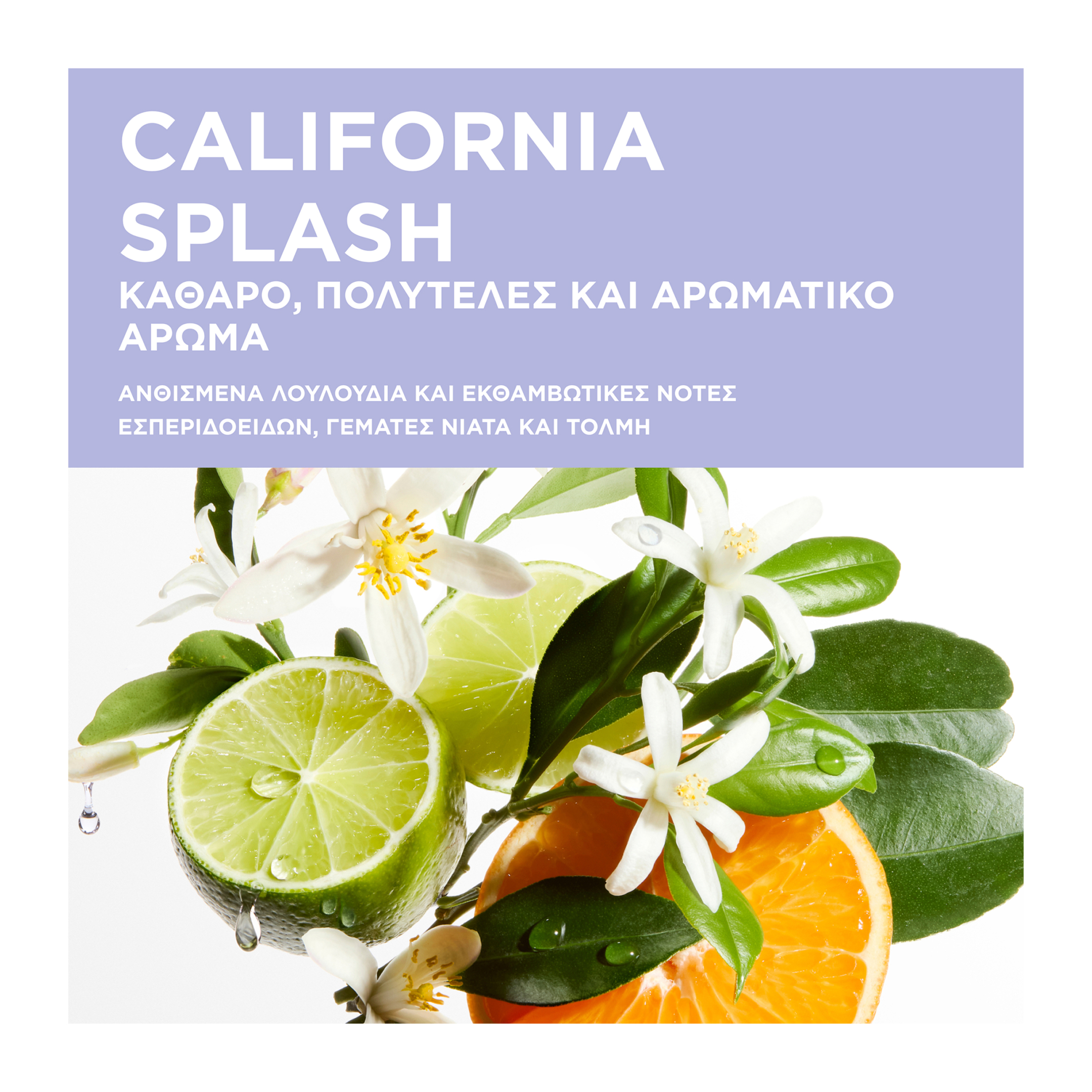 BLOND ABSOLU CONDITIONER CICAFLASH ΜΕ ΥΑΛΟΥΡΟΝΙΚΟ ΟΞΥ 4