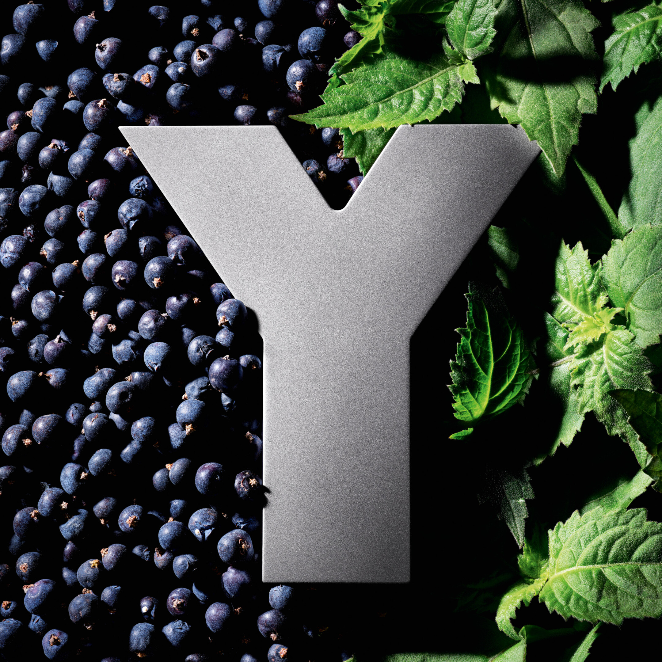 Y EAU DE PARFUM INTENSE 5