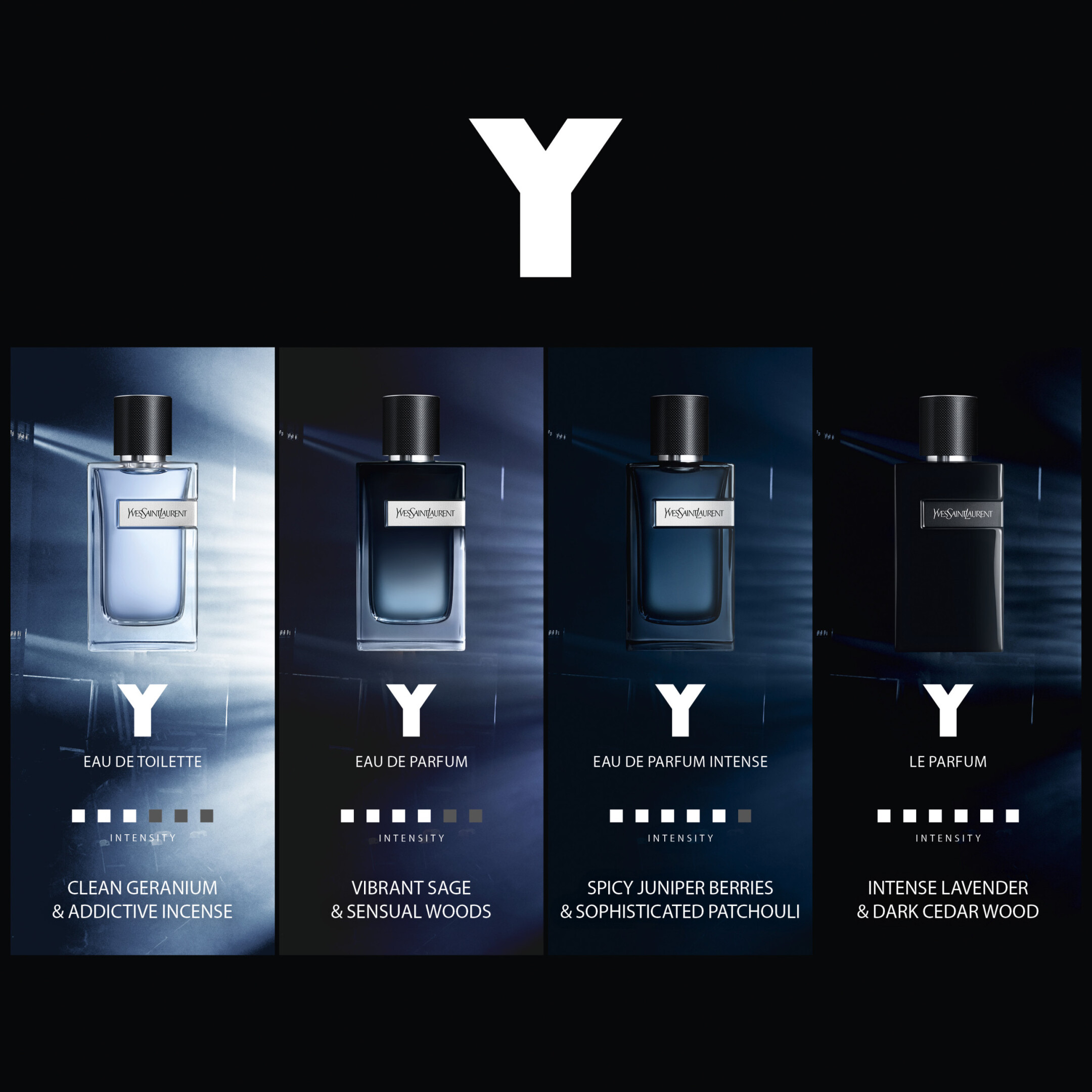 Y EAU DE PARFUM INTENSE 6