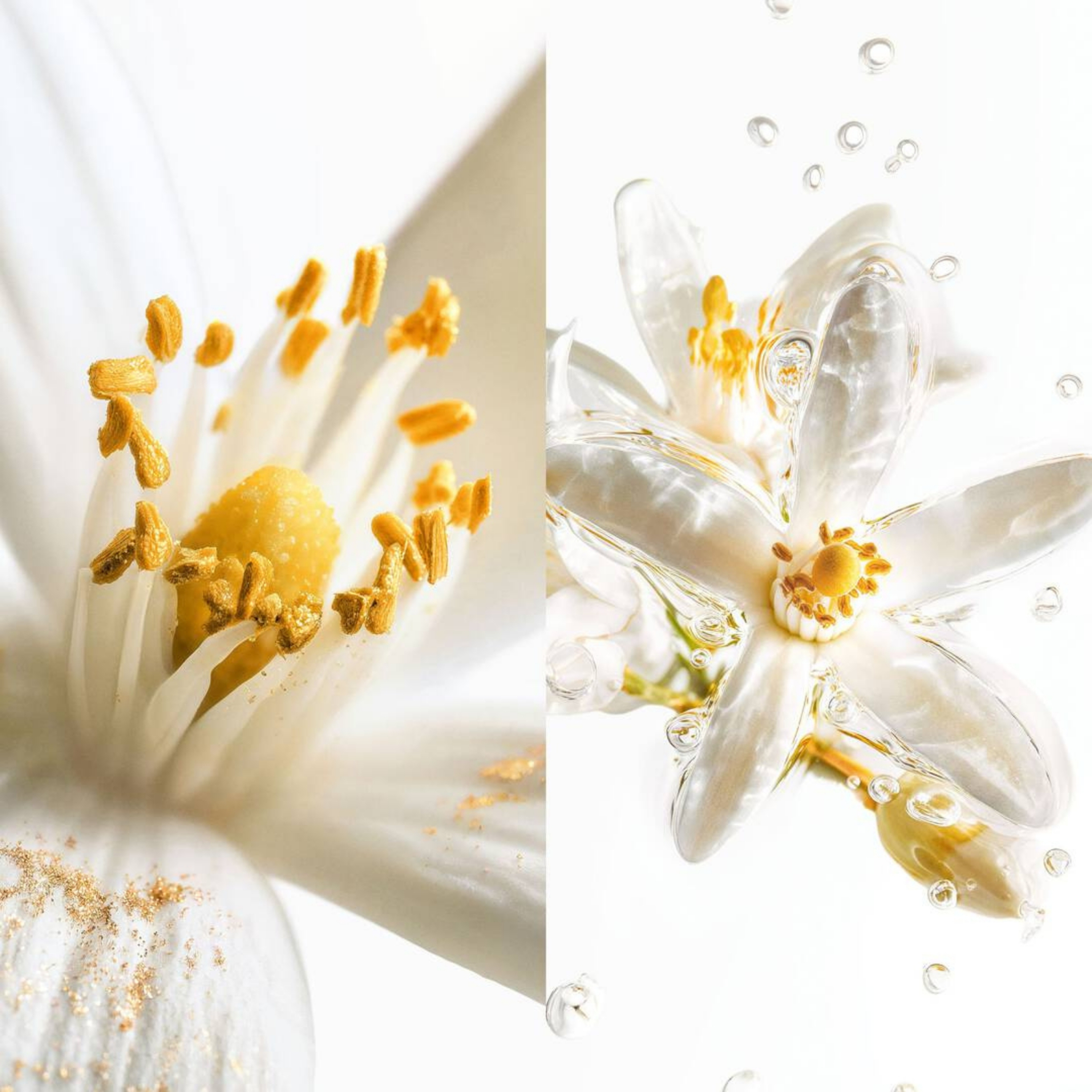 ARTISANAL BLAZE OF STILLNESS EAU DE PARFUM 4
