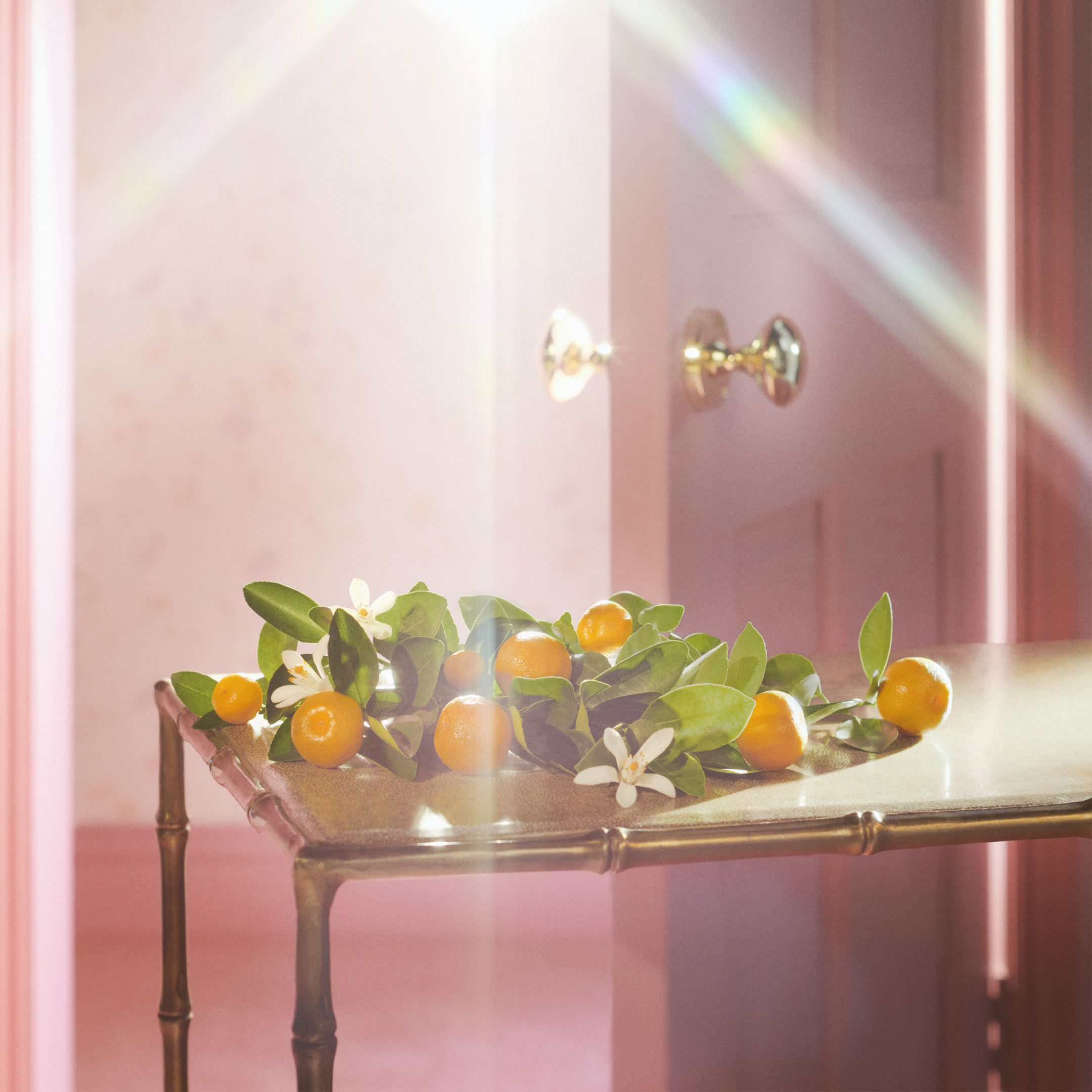 FLORA GORGEOUS JASMINE EAU DE PARFUM 13