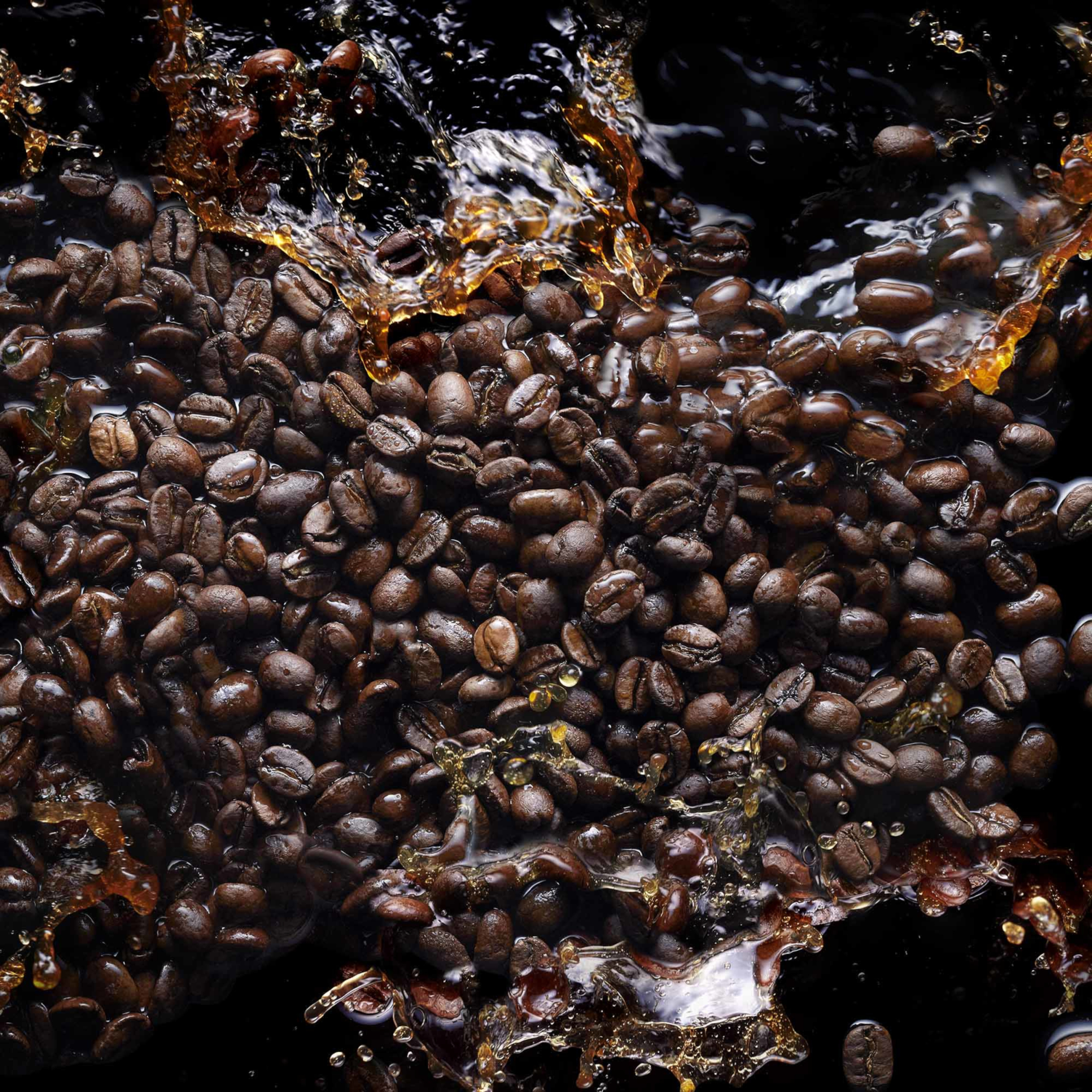 BLACK PHANTOM "MEMENTO MORI" 1