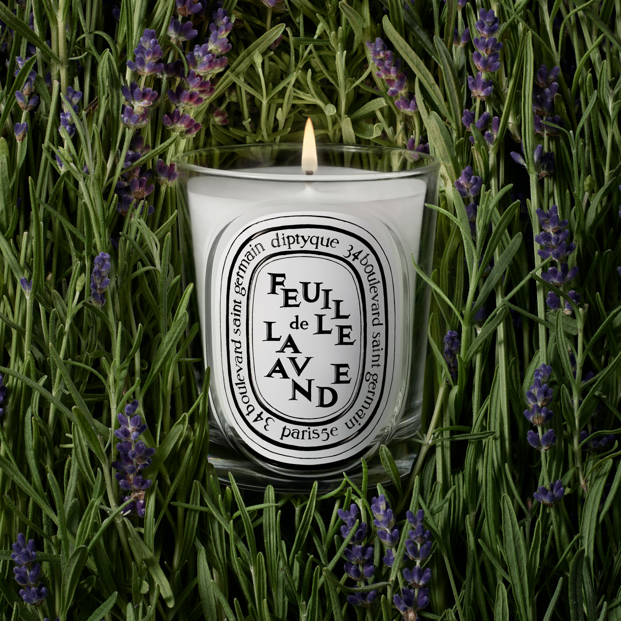 FEUILLE DE LAVANDE SCENTED CANDLE 1