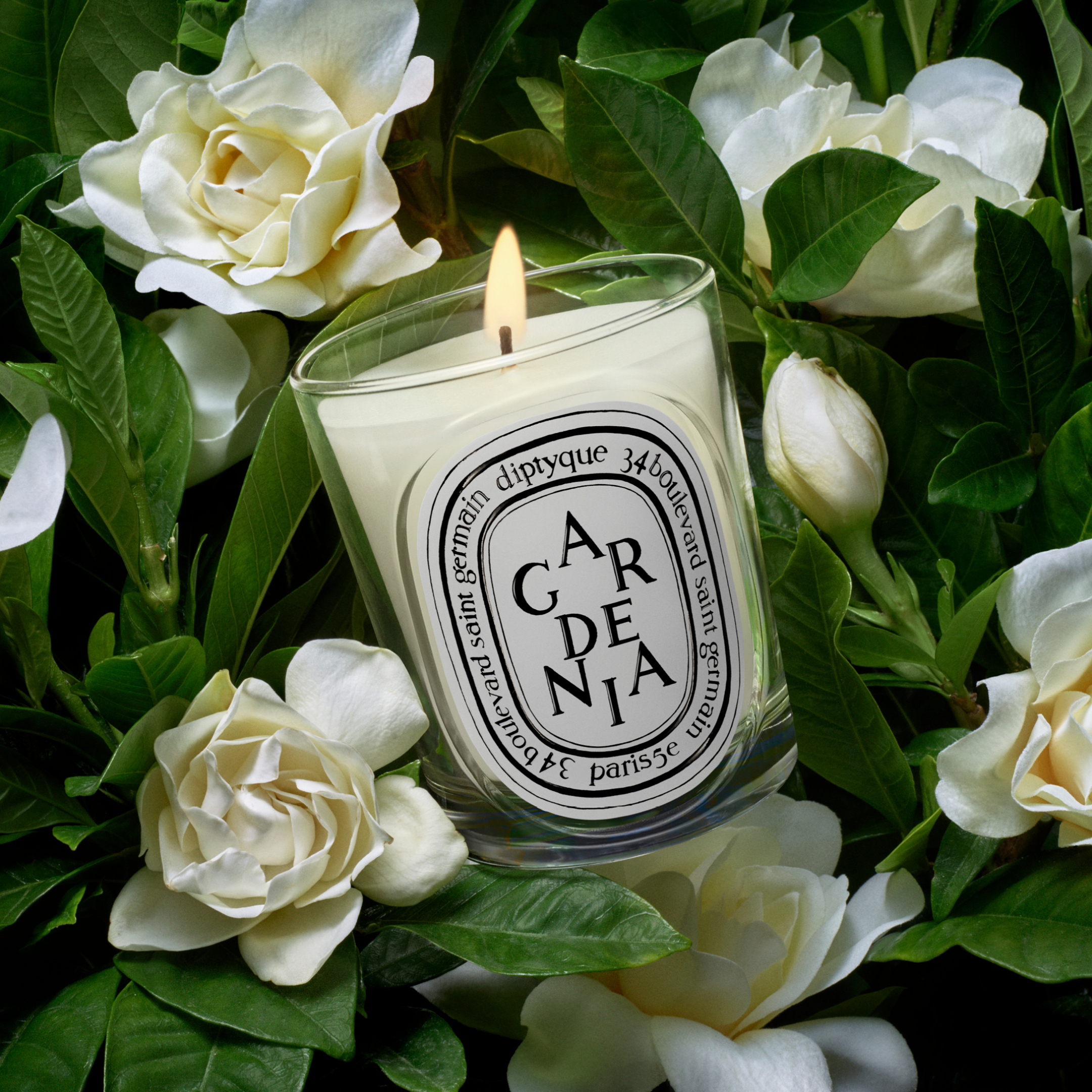 GARDENIA SCENTED CANDLE 1