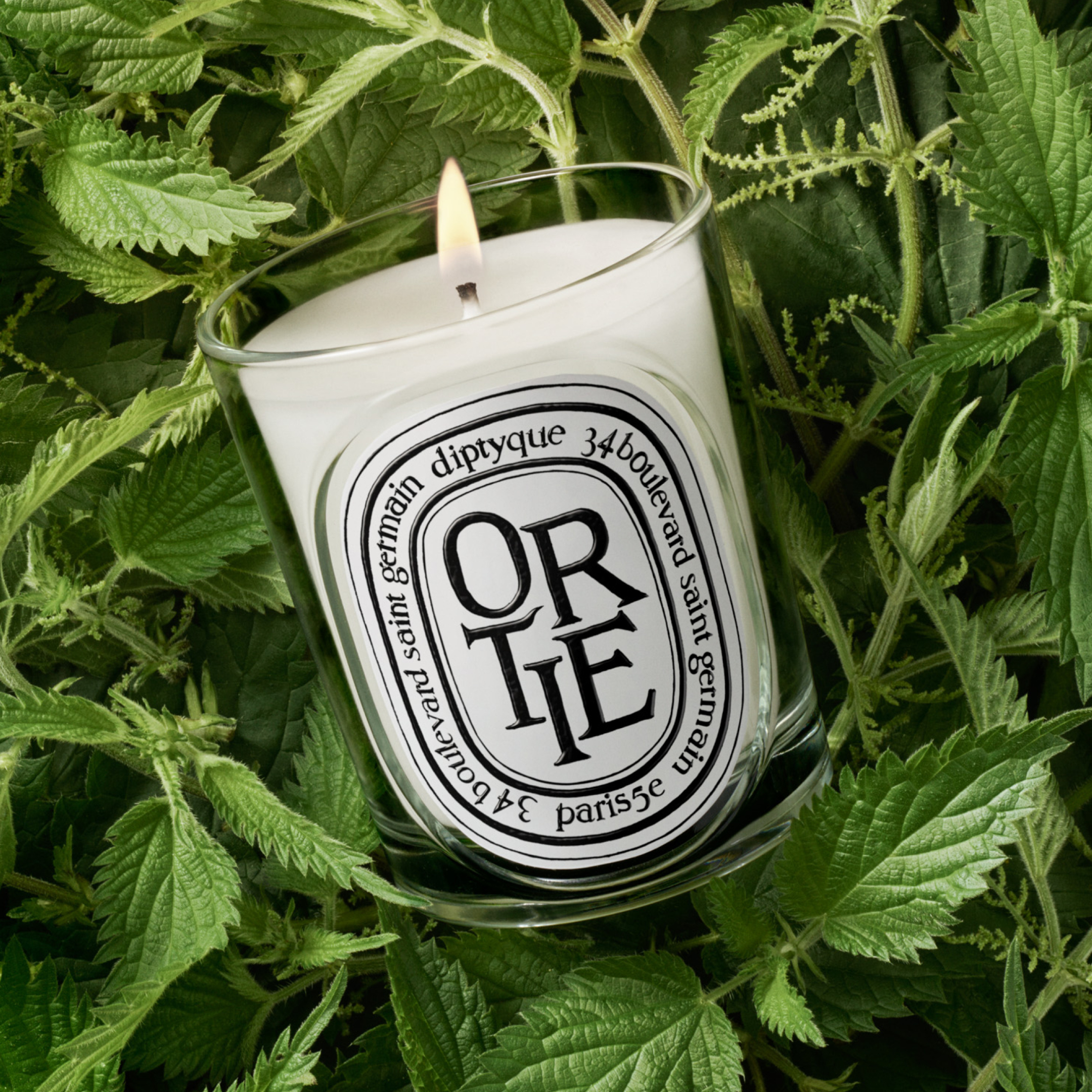 ORTIE SCENTED CANDLE 1