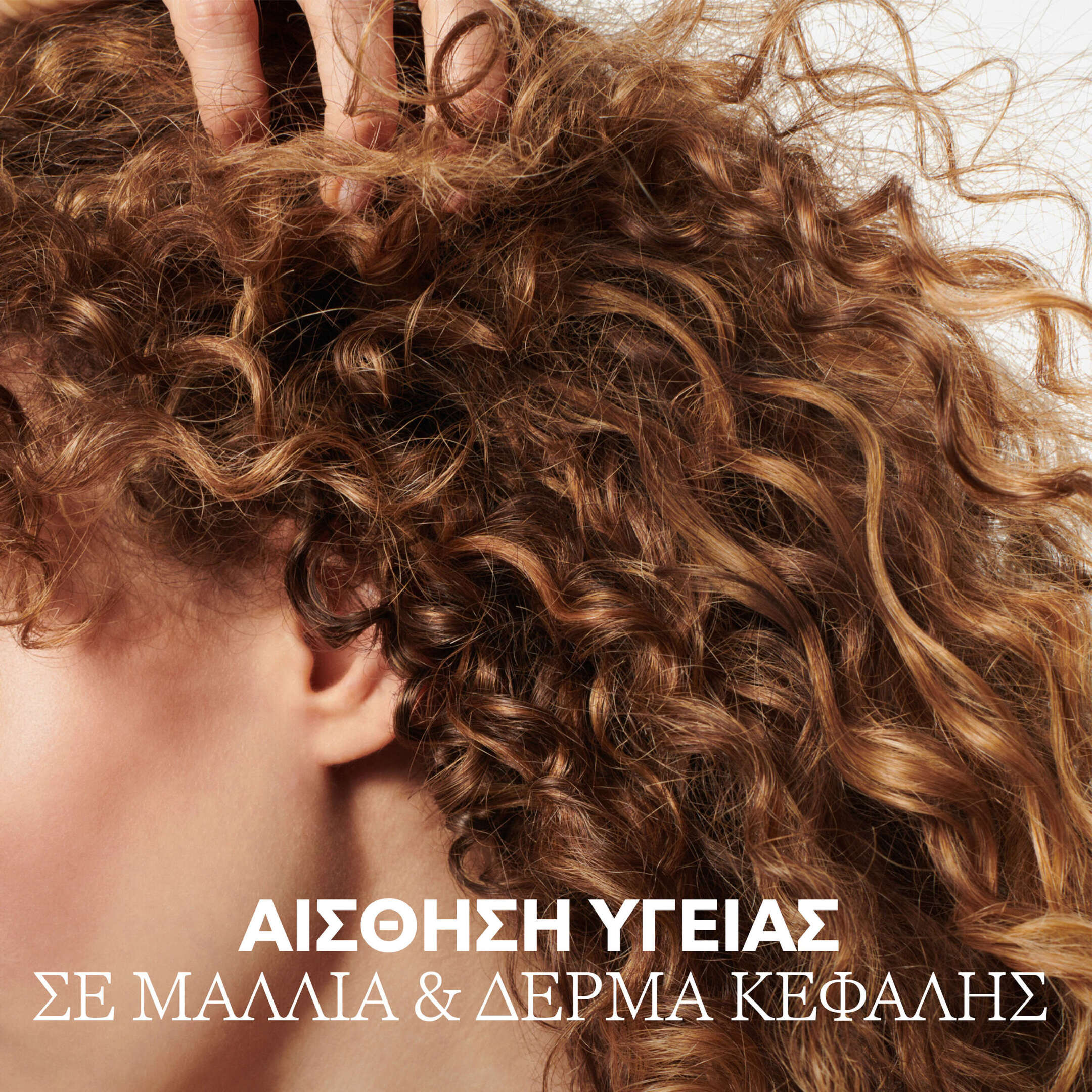 ELEMENTS RENEWING ΣΑΜΠΟΥΑΝ 2