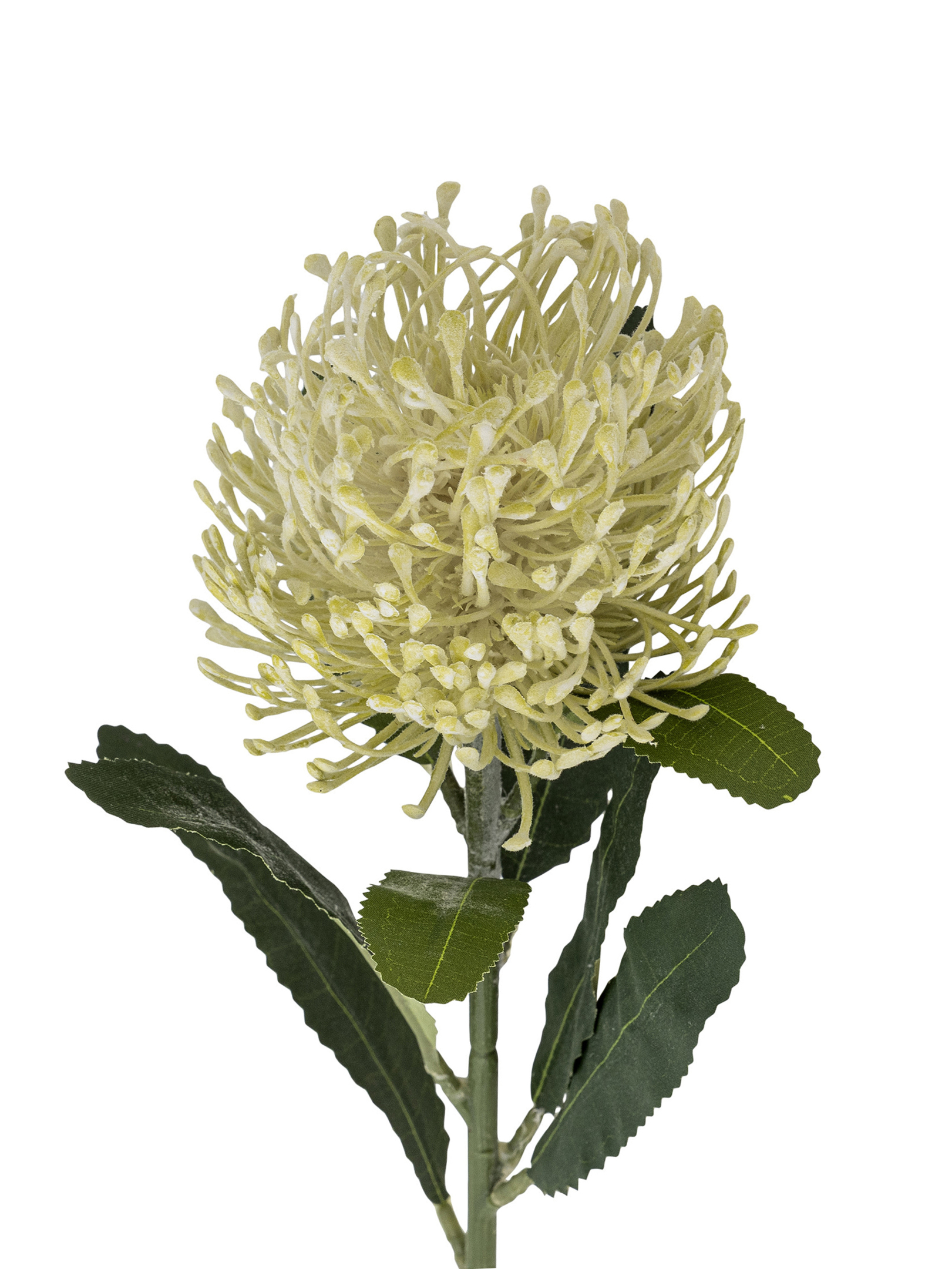 ΤΕΧΝΗΤΟ ΦΥΤΟ NEEDLE FLOWER STEM 2