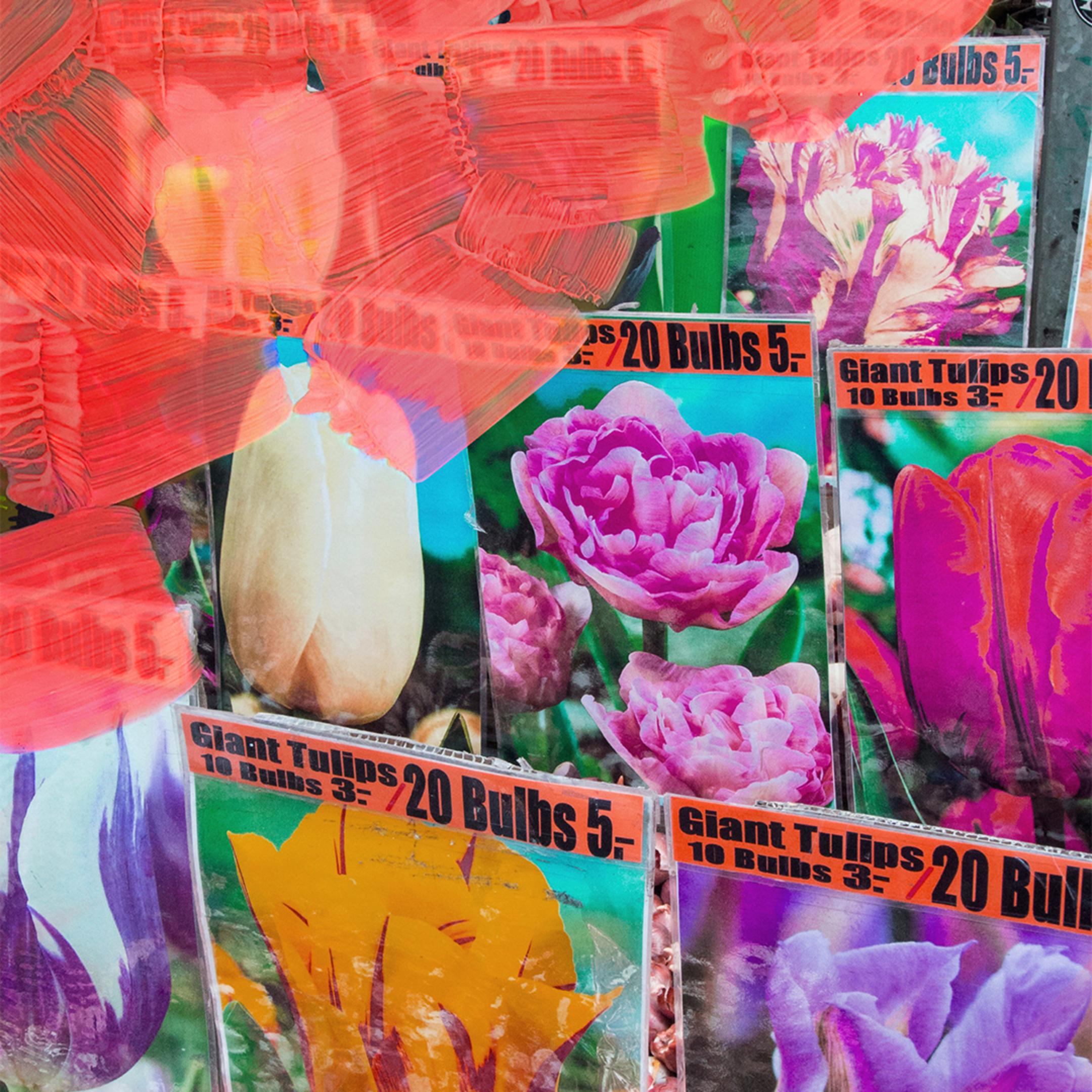 LA TULIPE HAND CREAM 1