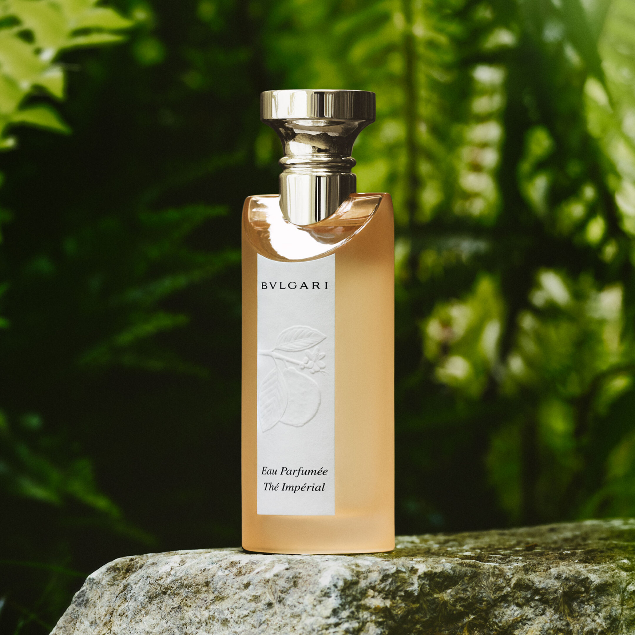 EAU PARFUMÉE THÉ IMPÉRIAL EAU DE TOILETTE 4