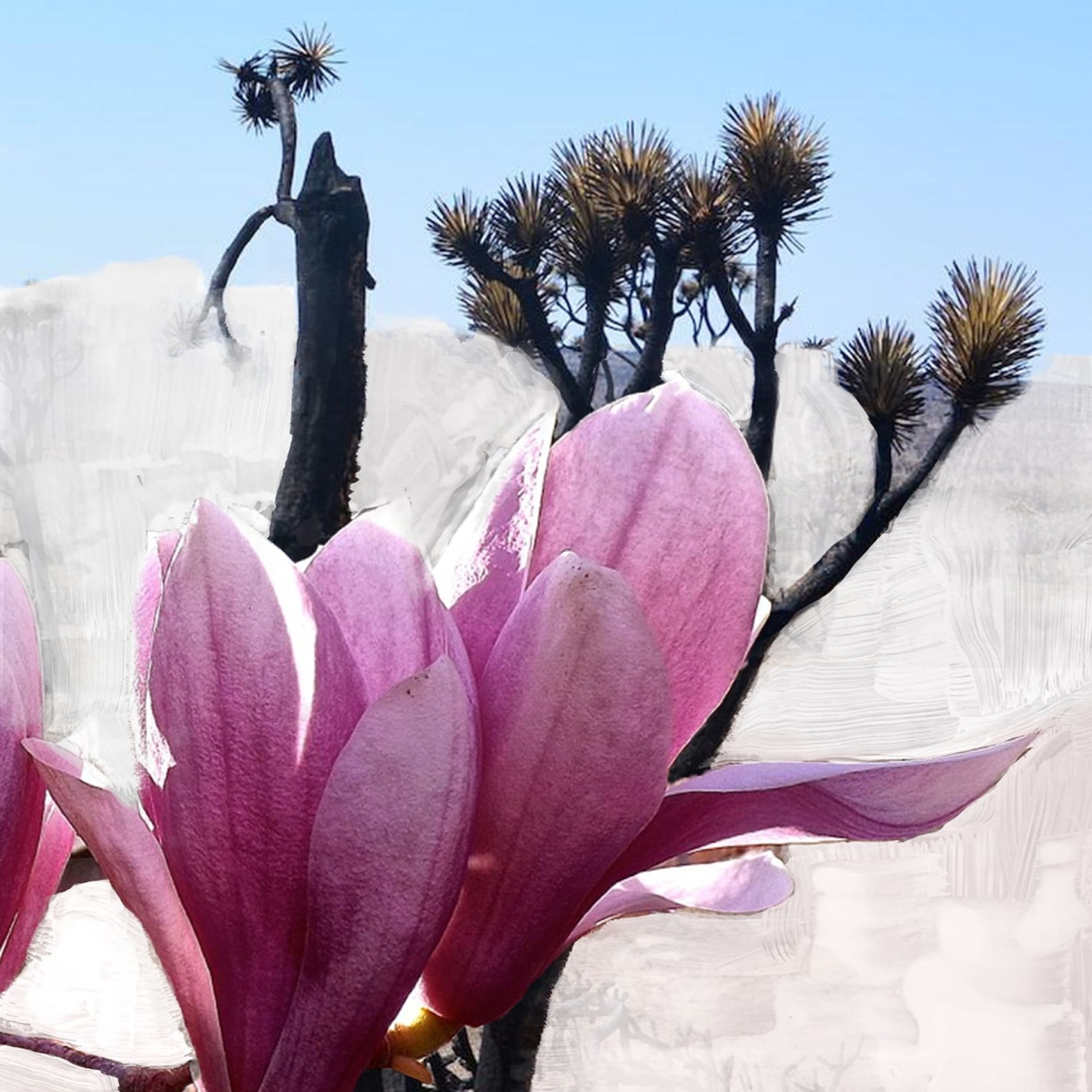 MOJAVE GHOST BODY WASH 2