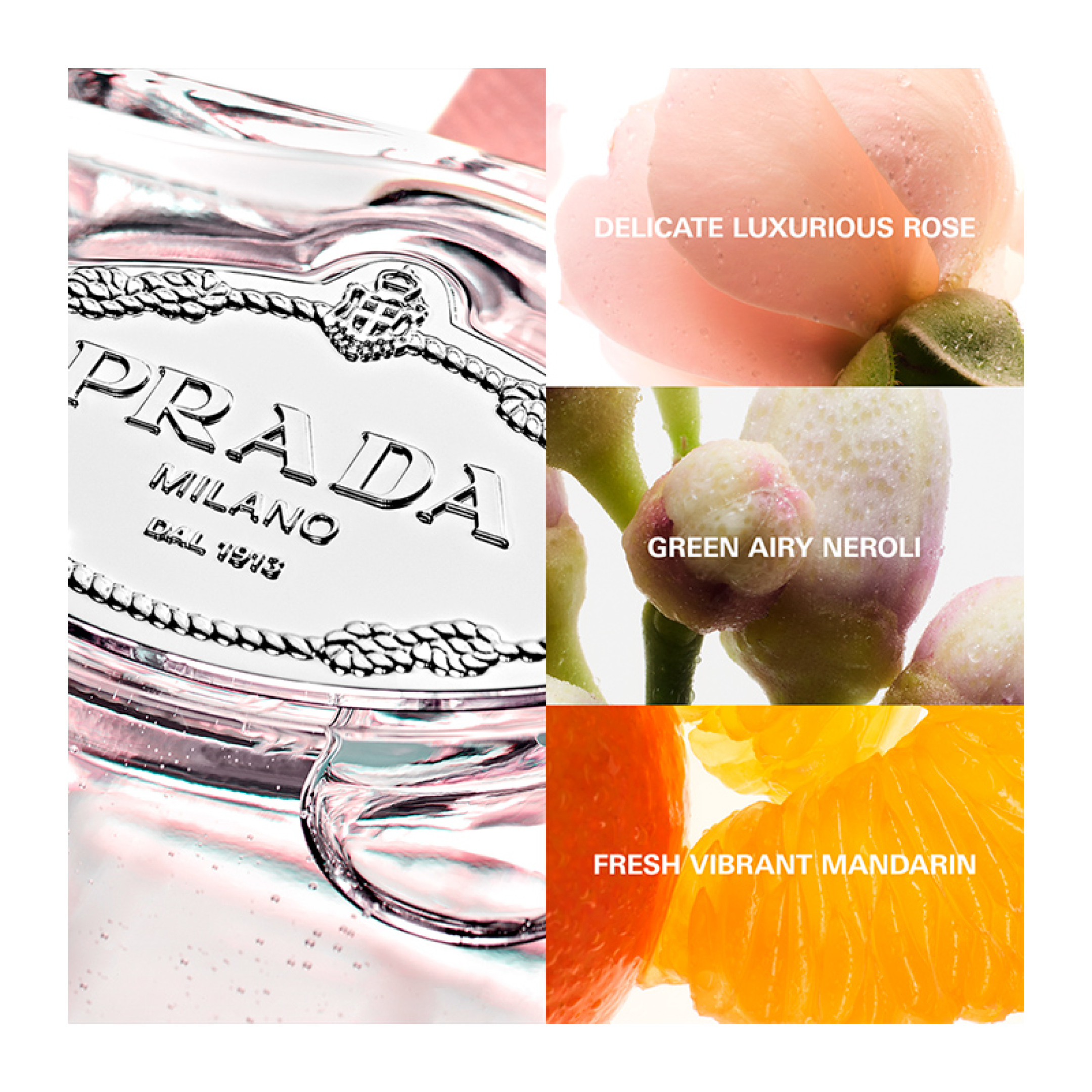 PRADA INFUSION DE ROSE EAU DE PARFUM 16