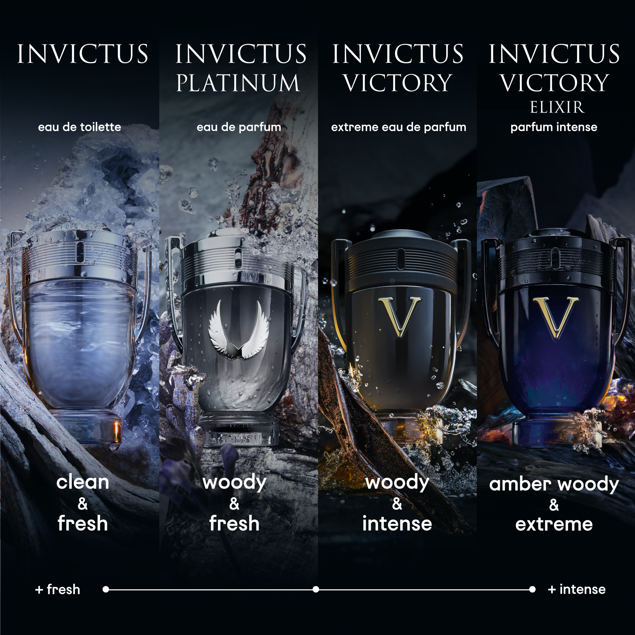 INVICTUS PLATINUM EAU DE PARFUM 11