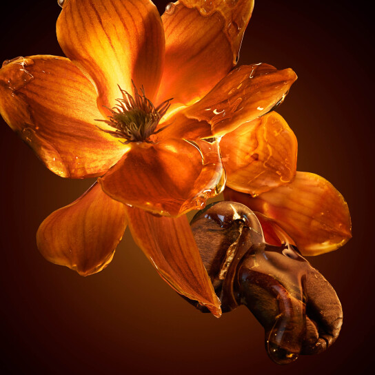 THE SCENT EAU DE PARFUM INTENSE FOR HER 3