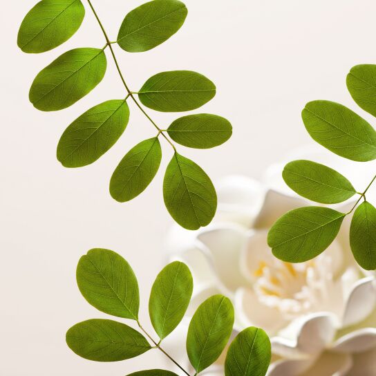 THE RITUAL OF NAMASTE GENTLE CLEANSING FOAM 1