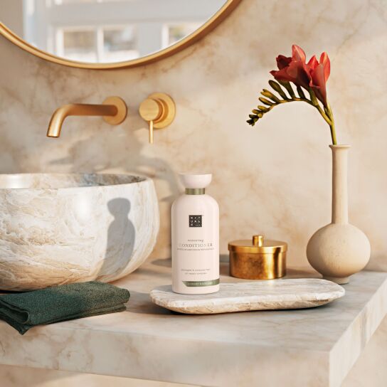 RESTORING CONDITIONER 1