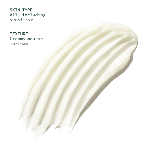 ADVANCED BOTANICAL KINETICS™ MICRO-PURIFYING CLEANSING MOUSSE 1