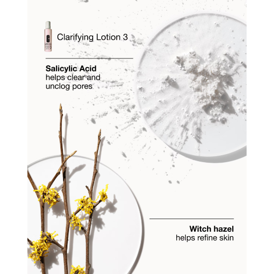 GREAT SKIN EVERYWHERE SET: FOR COMBINATION OILY SKIN 3