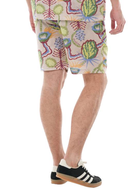 ΑΝΔΡΙΚΗ ΒΕΡΜΟΥΔΑ 2