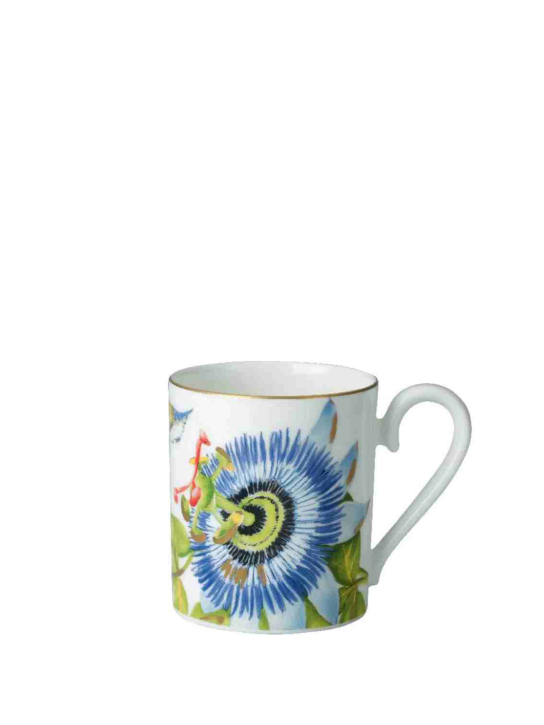 ΚΟΥΠΑ VILLEROY & BOCH 0