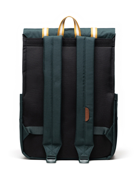 ΣΑΚΙΔΙΟ ΠΛΑΤΗΣ SURVEY 1