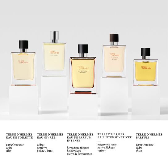 TERRE D'HERMÈS PARFUM 4