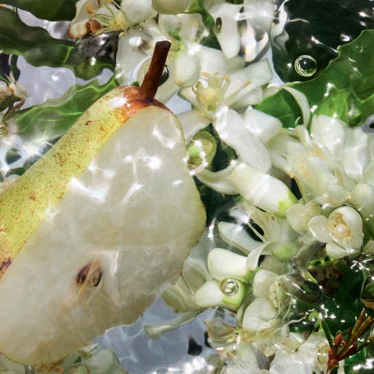 AQUA ALLEGORIA PERA GRANITA  EAU DE TOILETTE  3