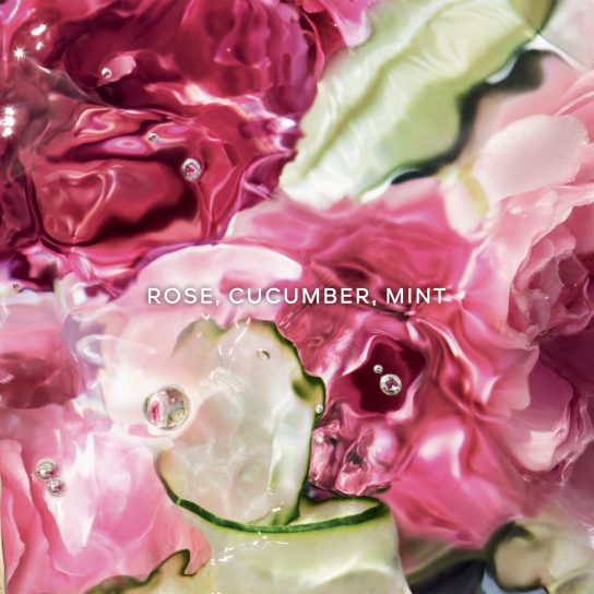 AQUA ALLEGORIA - ROSA VERDE EAU DE TOILETTE 2