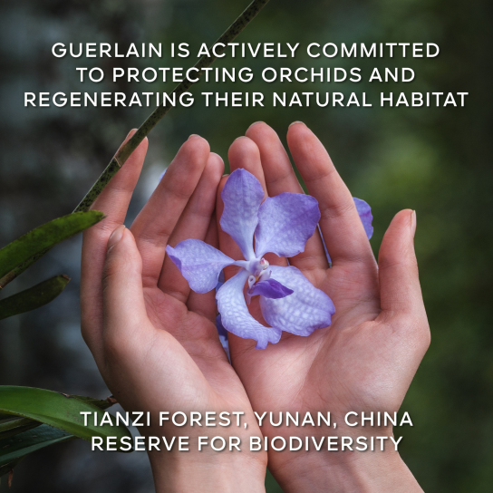 ORCHIDÉE IMPÉRIALE THE LONGEVITY CREAM - THE REFILL 8